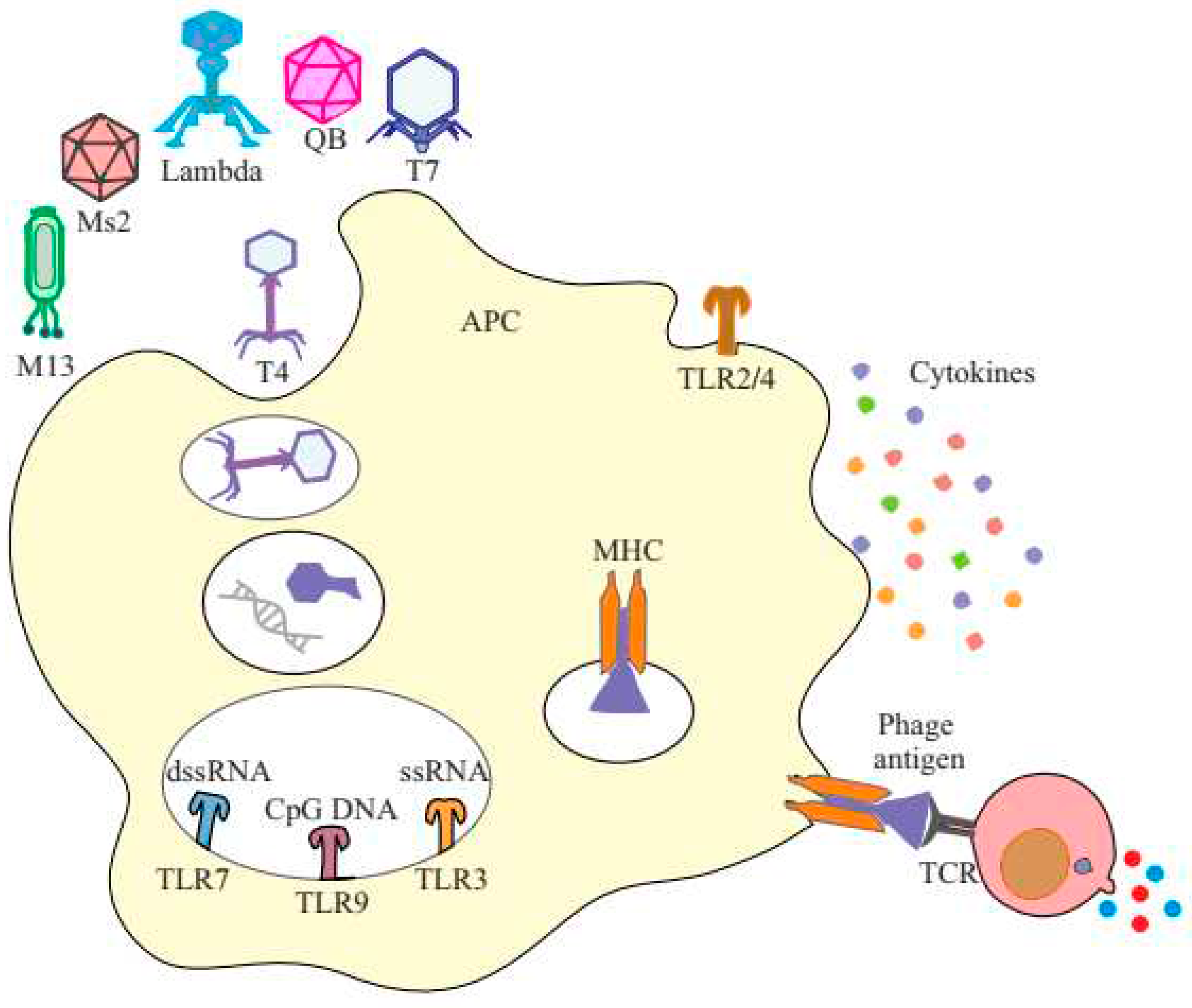 Preprints 97972 g003