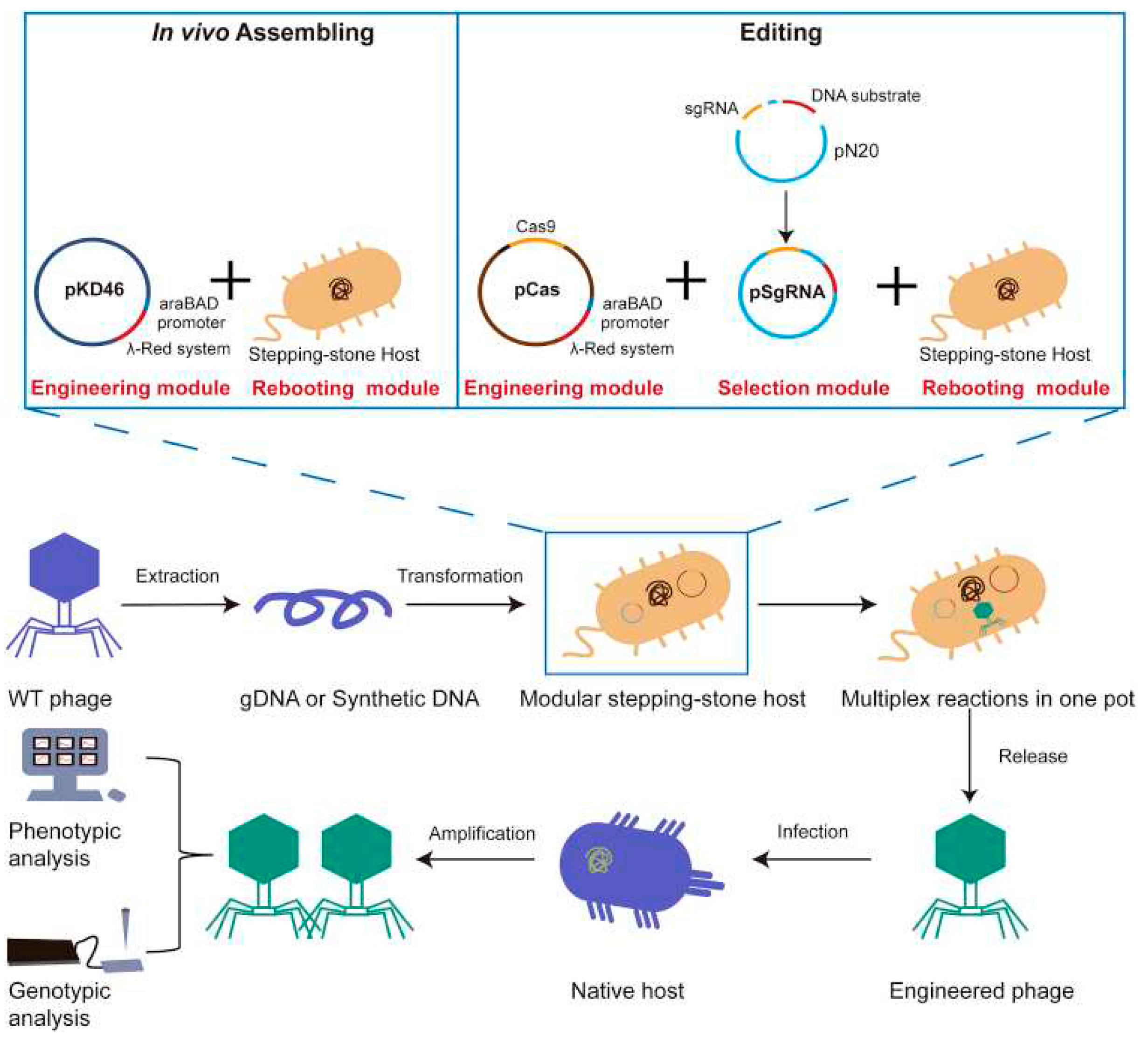 Preprints 97972 g005