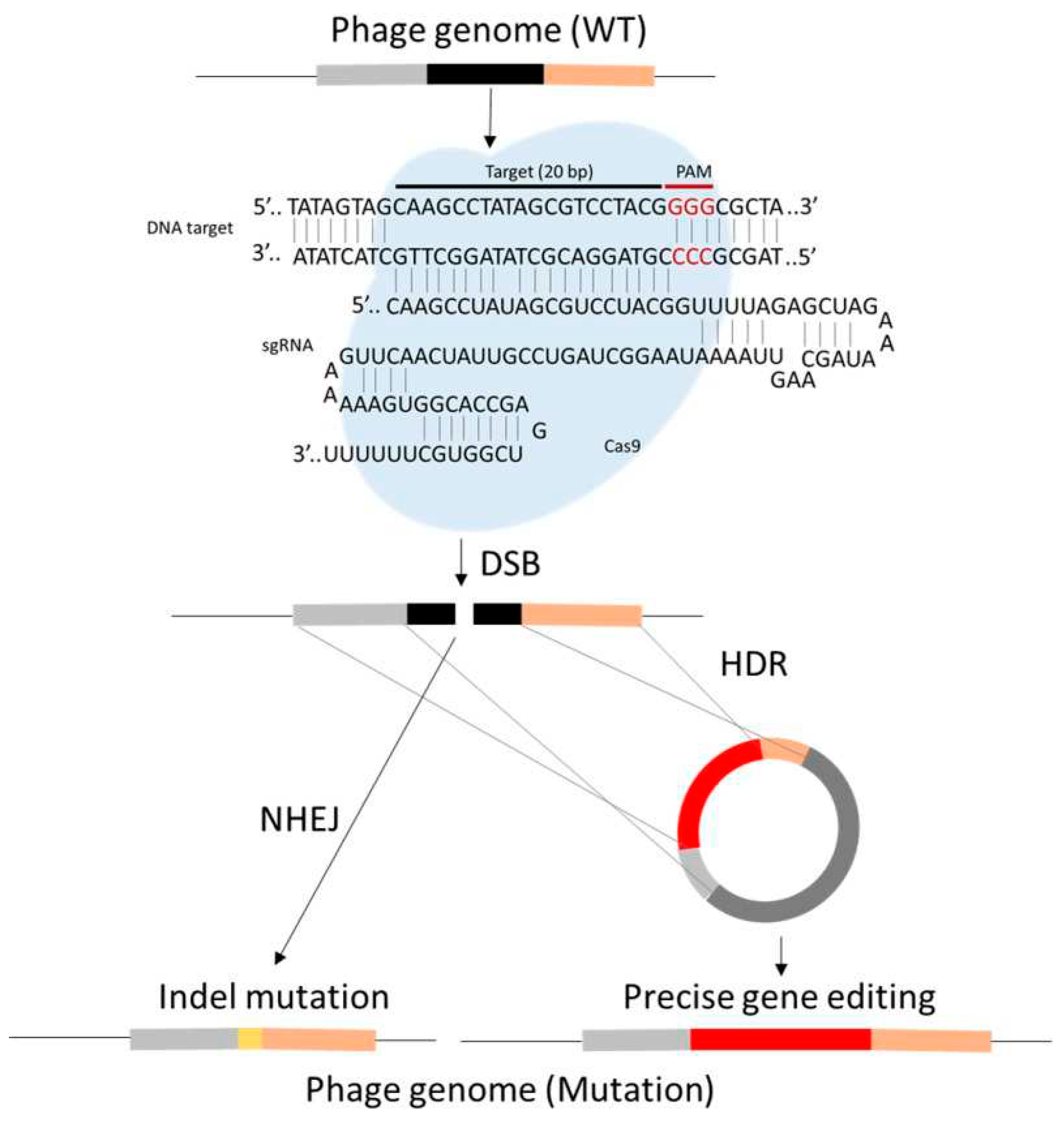 Preprints 97972 g006