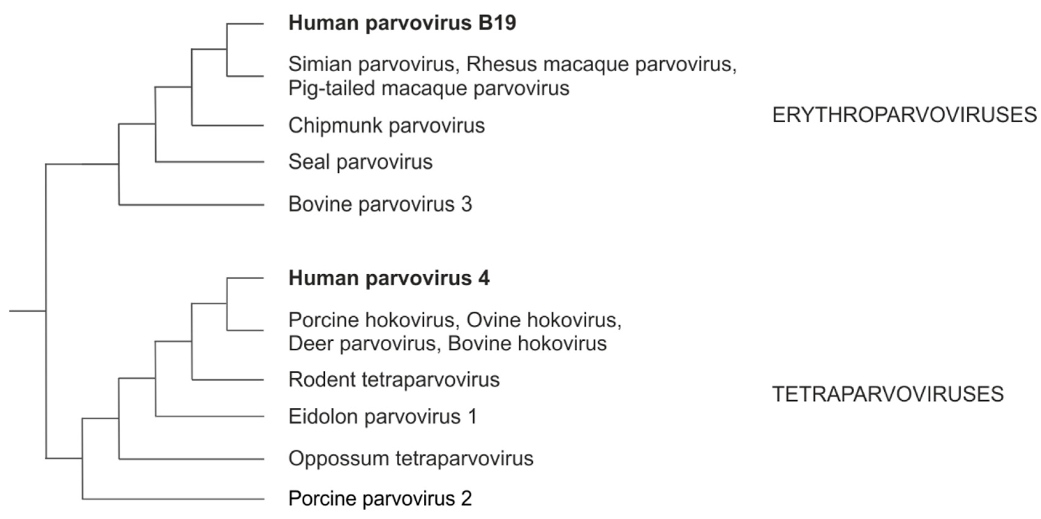 Preprints 85129 g001