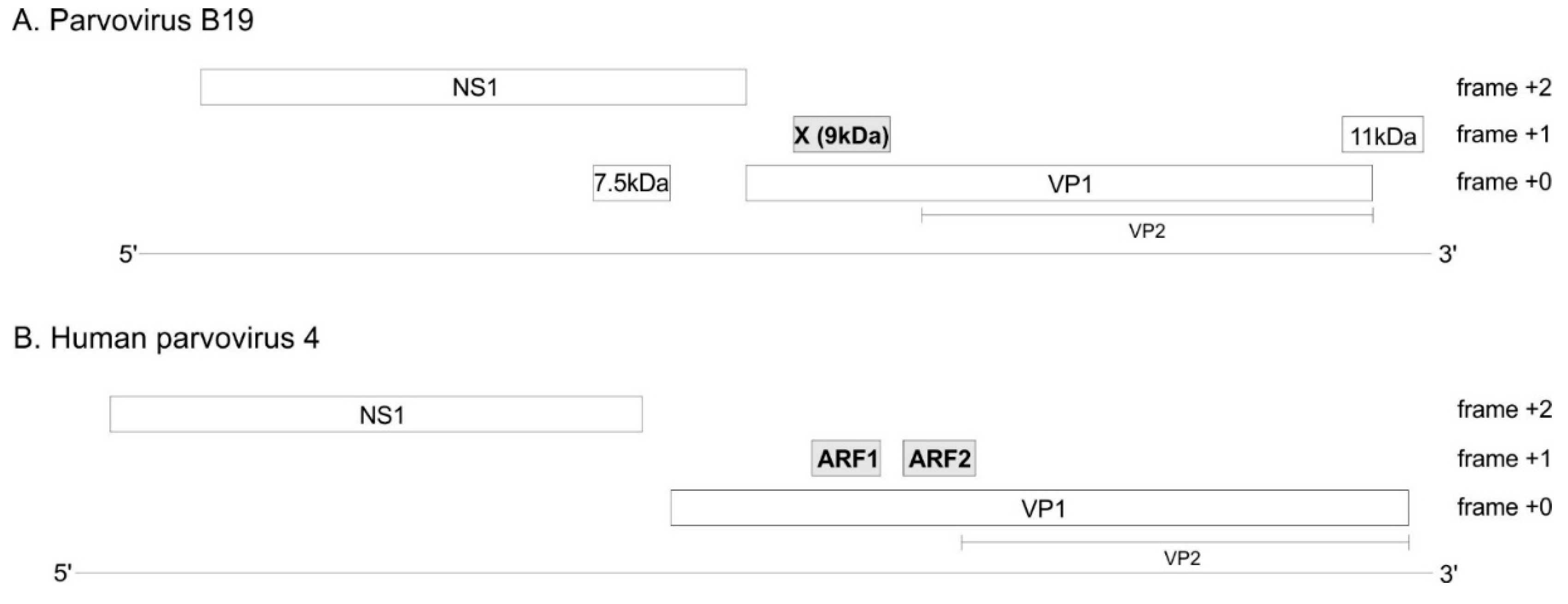 Preprints 85129 g002