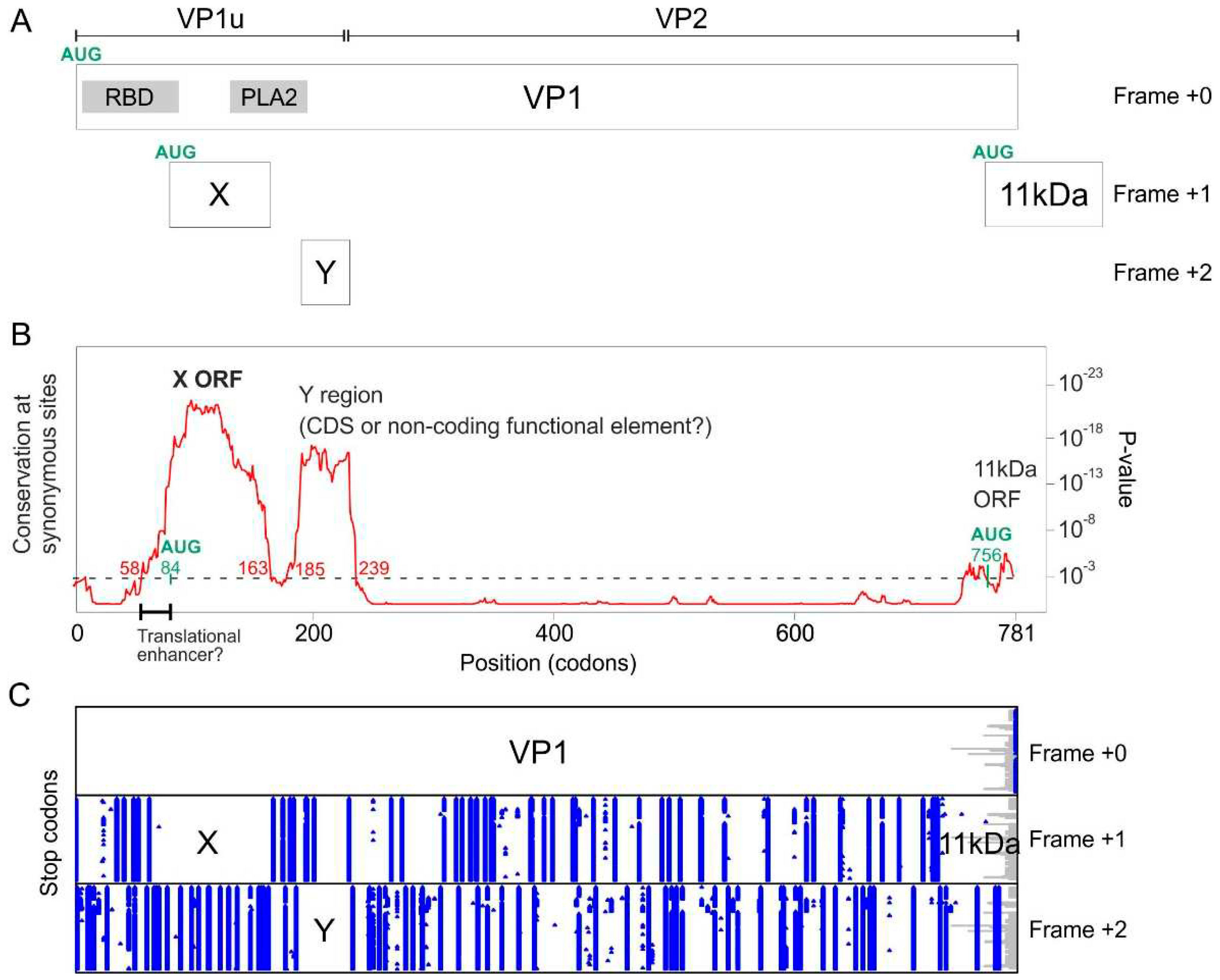 Preprints 85129 g003