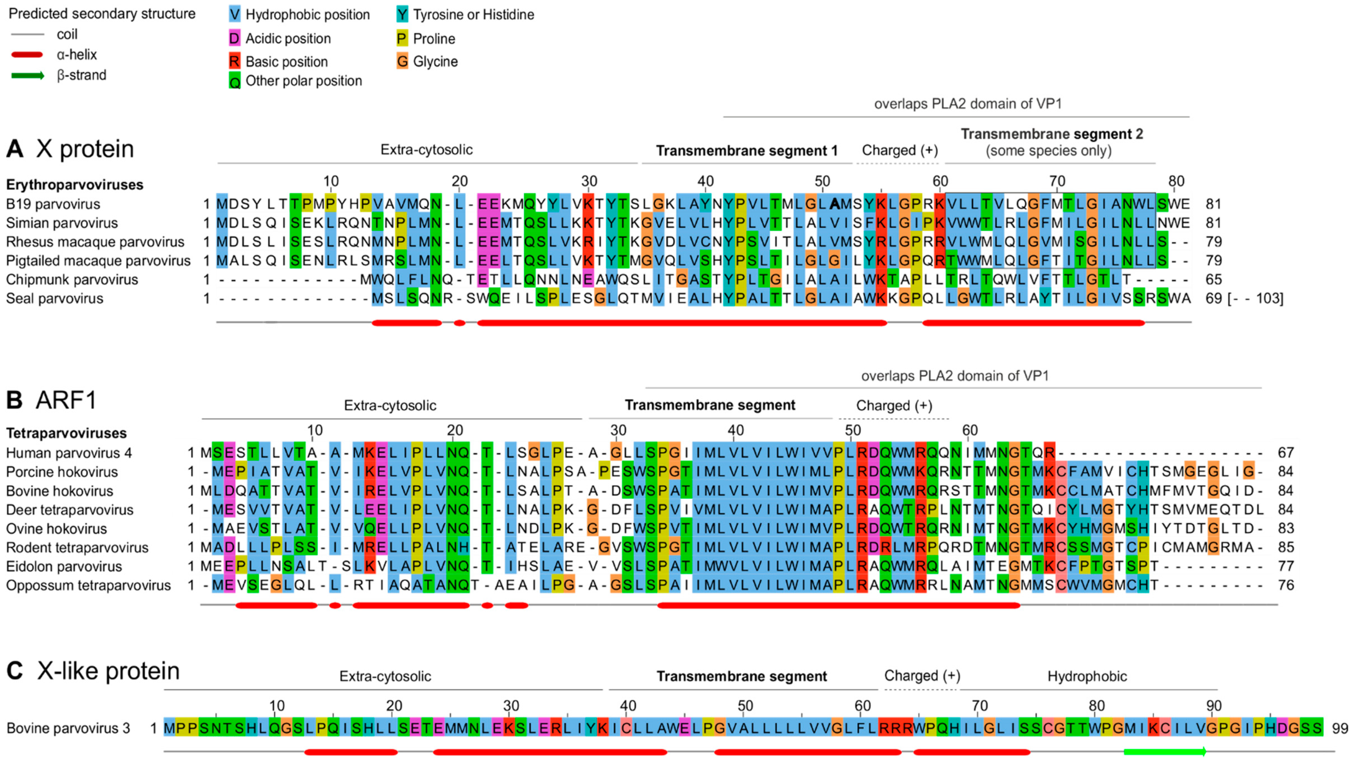 Preprints 85129 g005