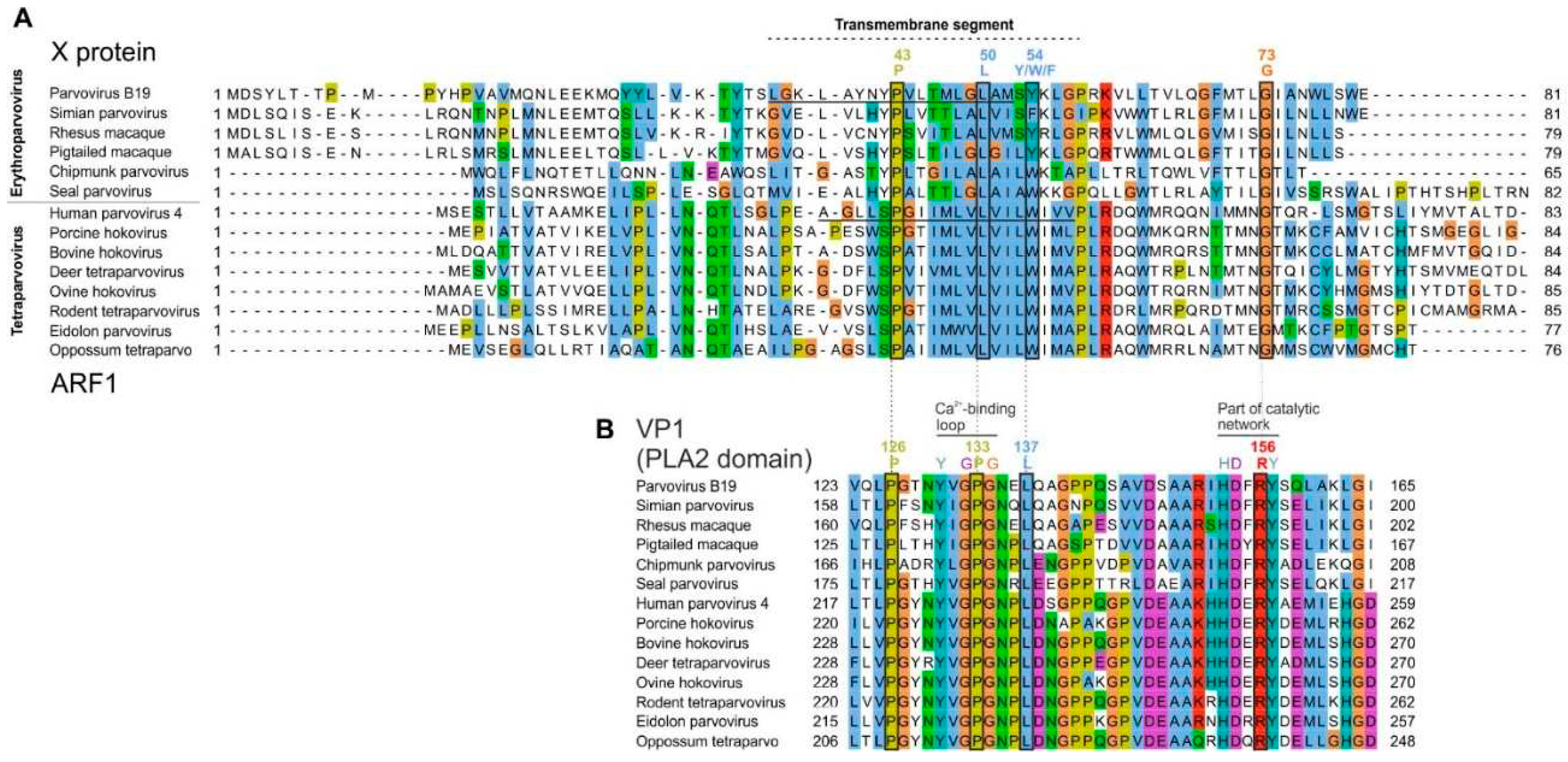 Preprints 85129 g006