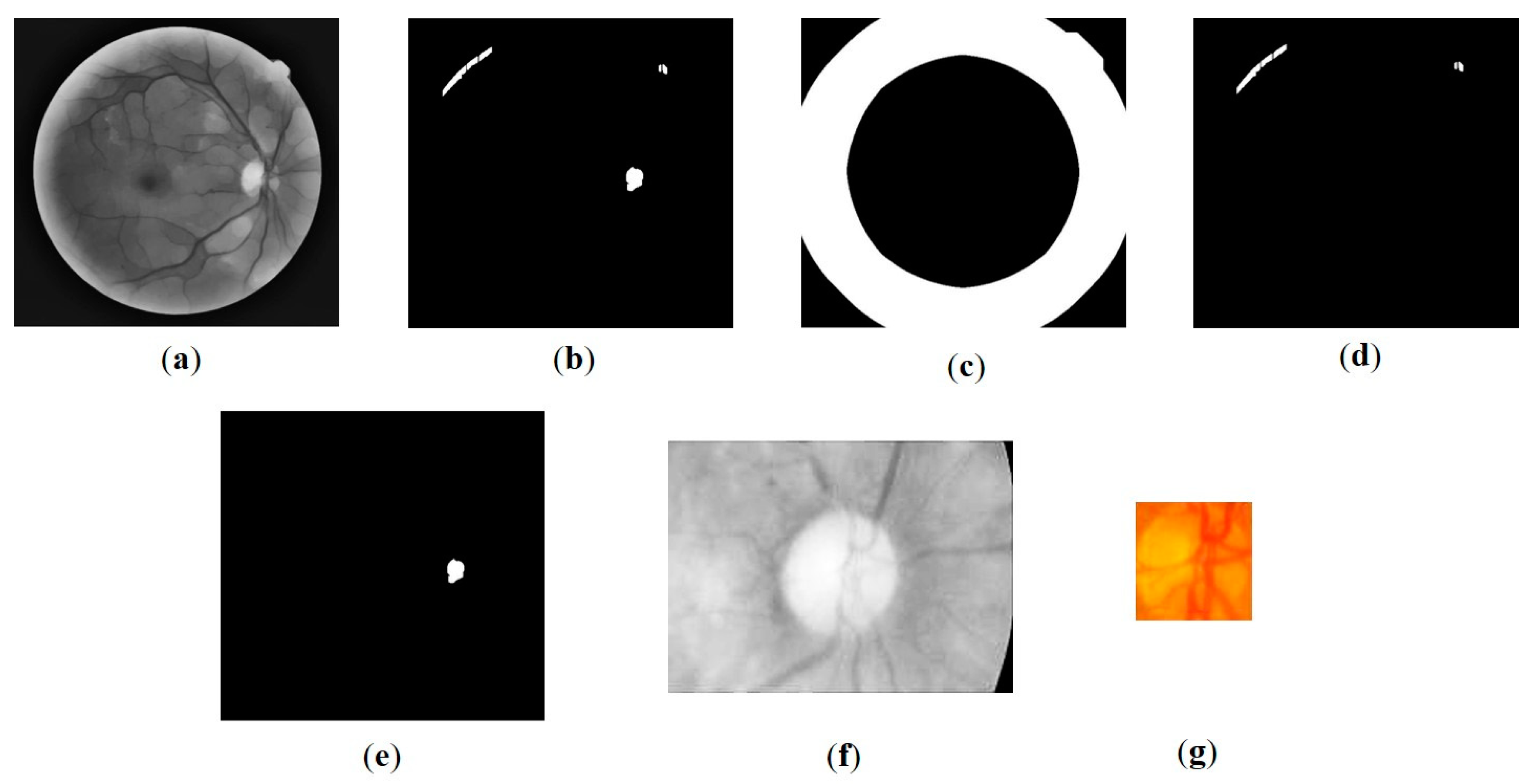 Preprints 80534 g003