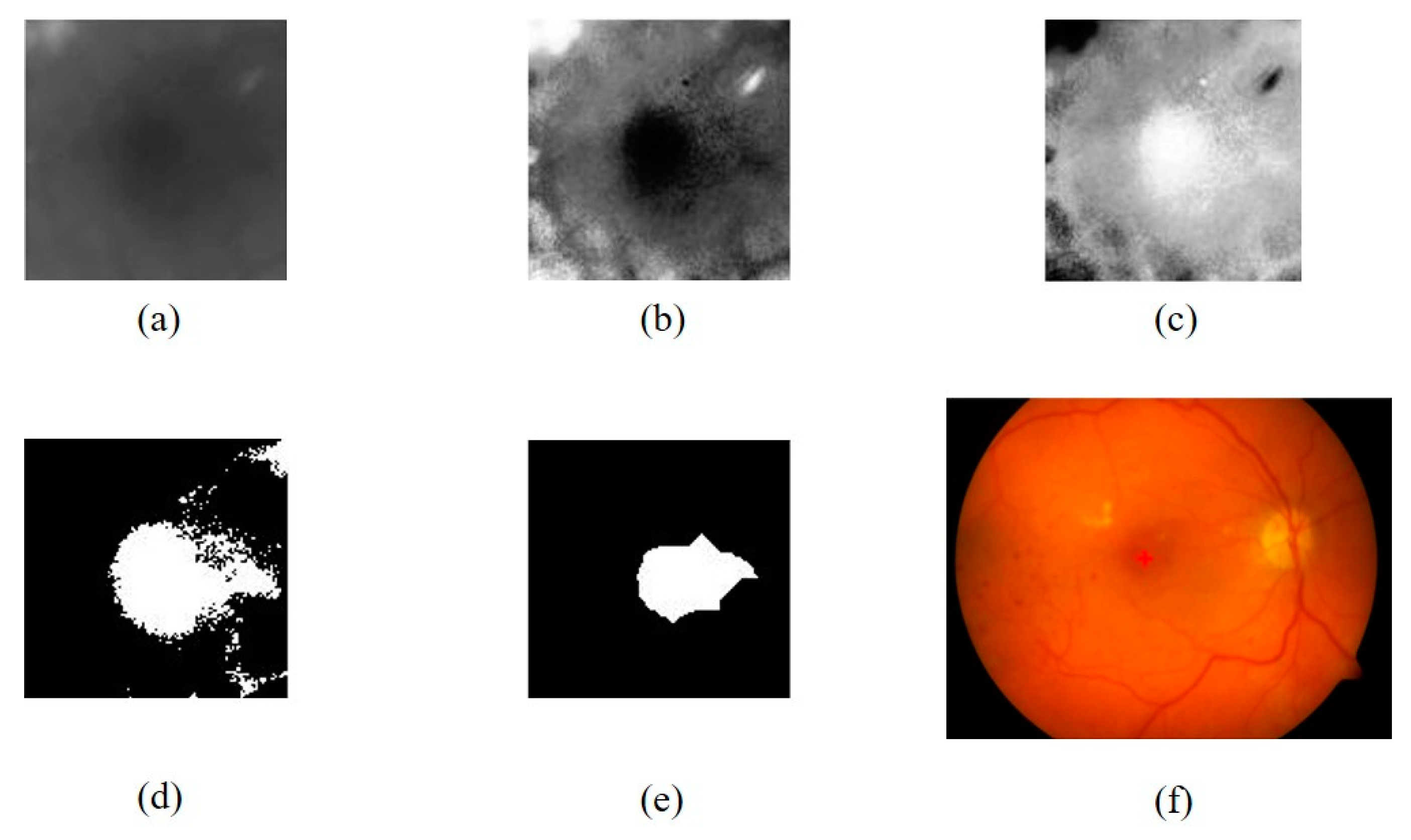 Preprints 80534 g010