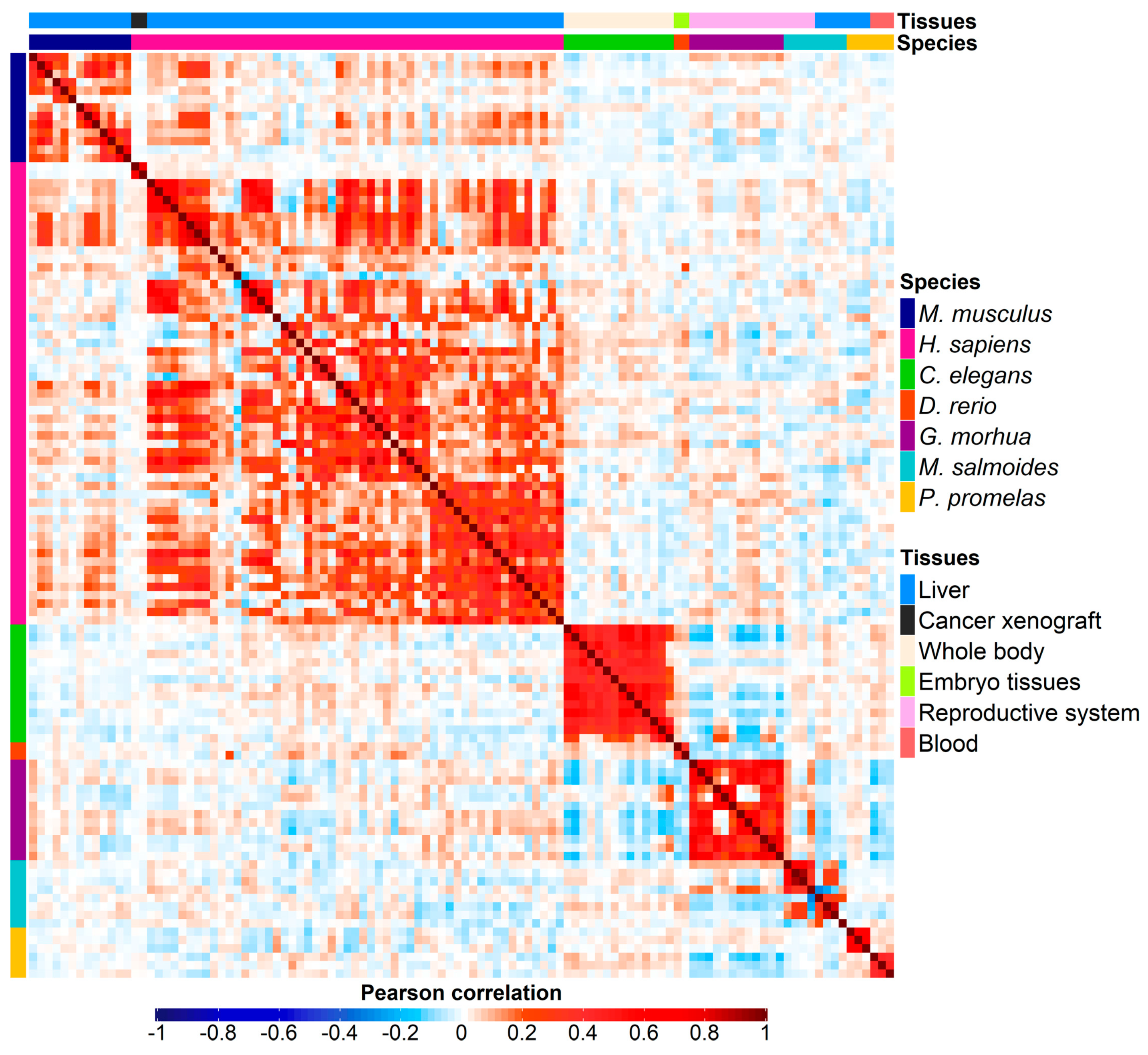 Preprints 75515 g001