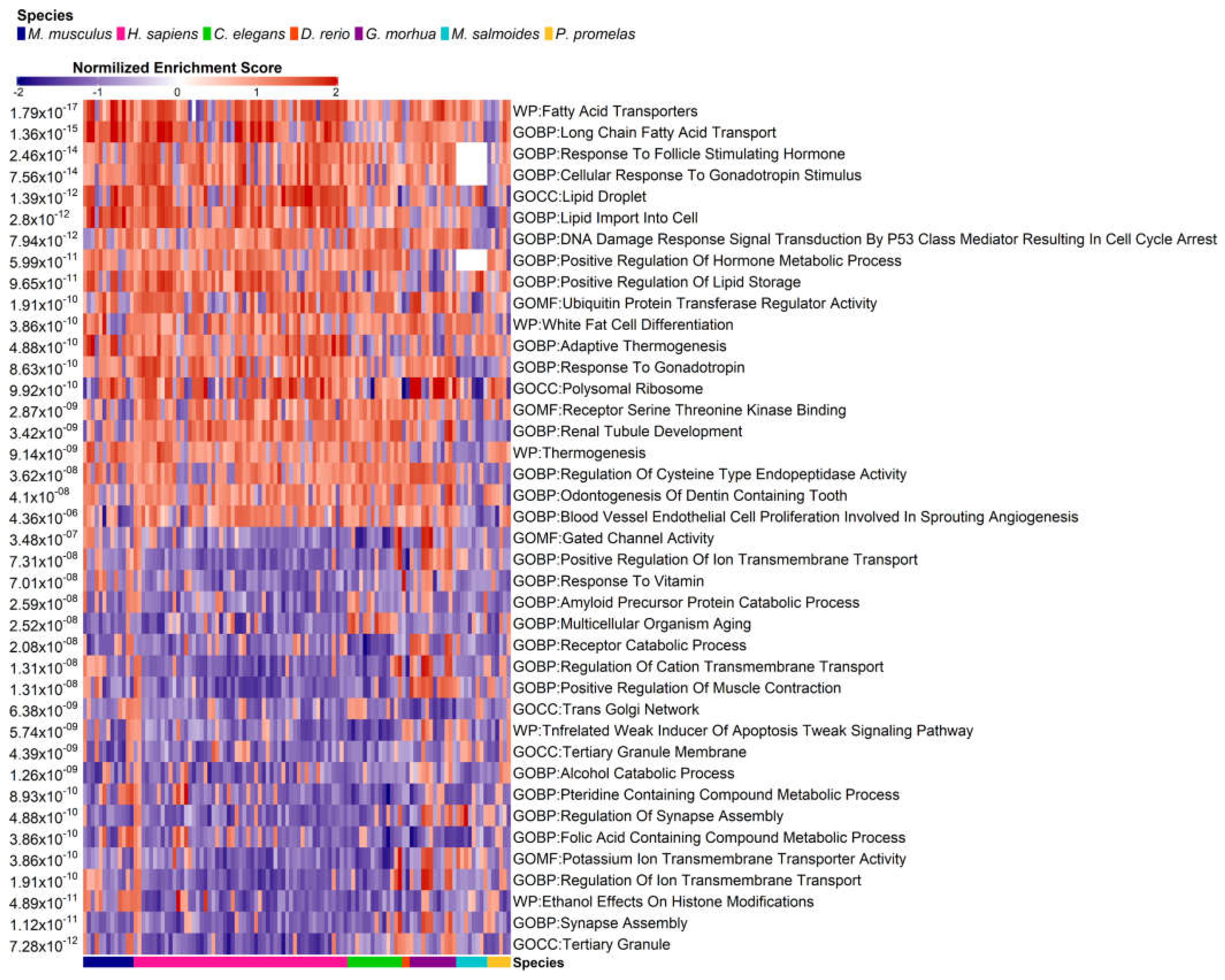 Preprints 75515 g006