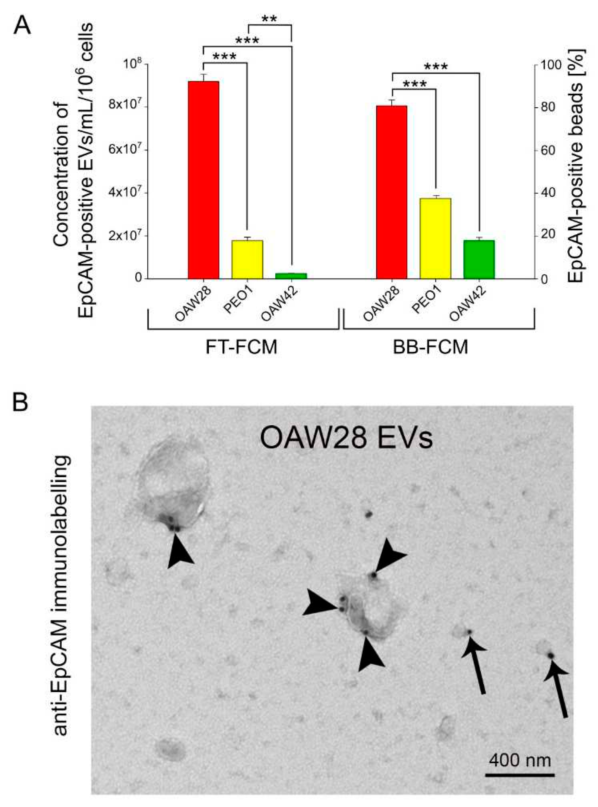 Preprints 72543 g005