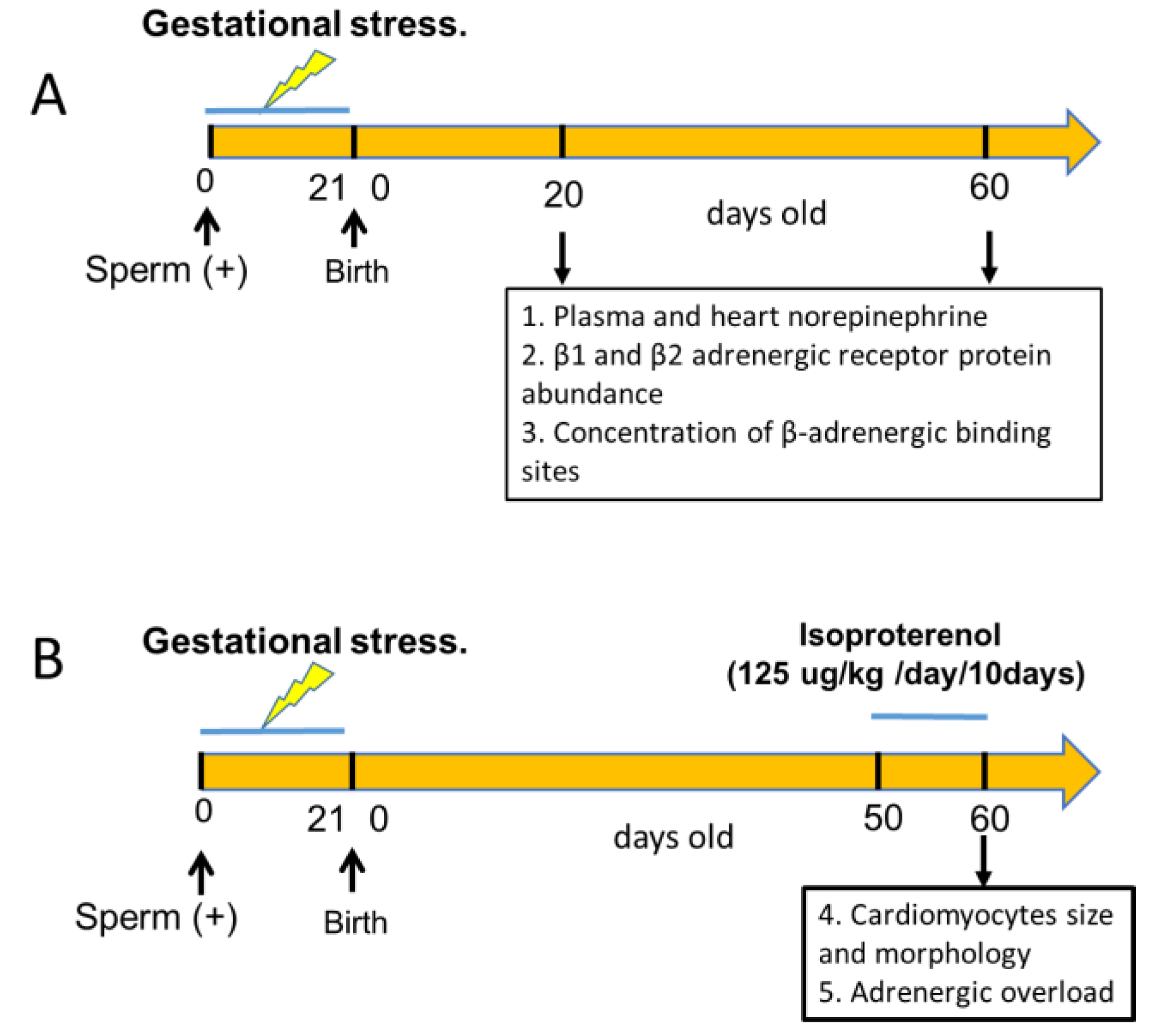 Preprints 109603 g001