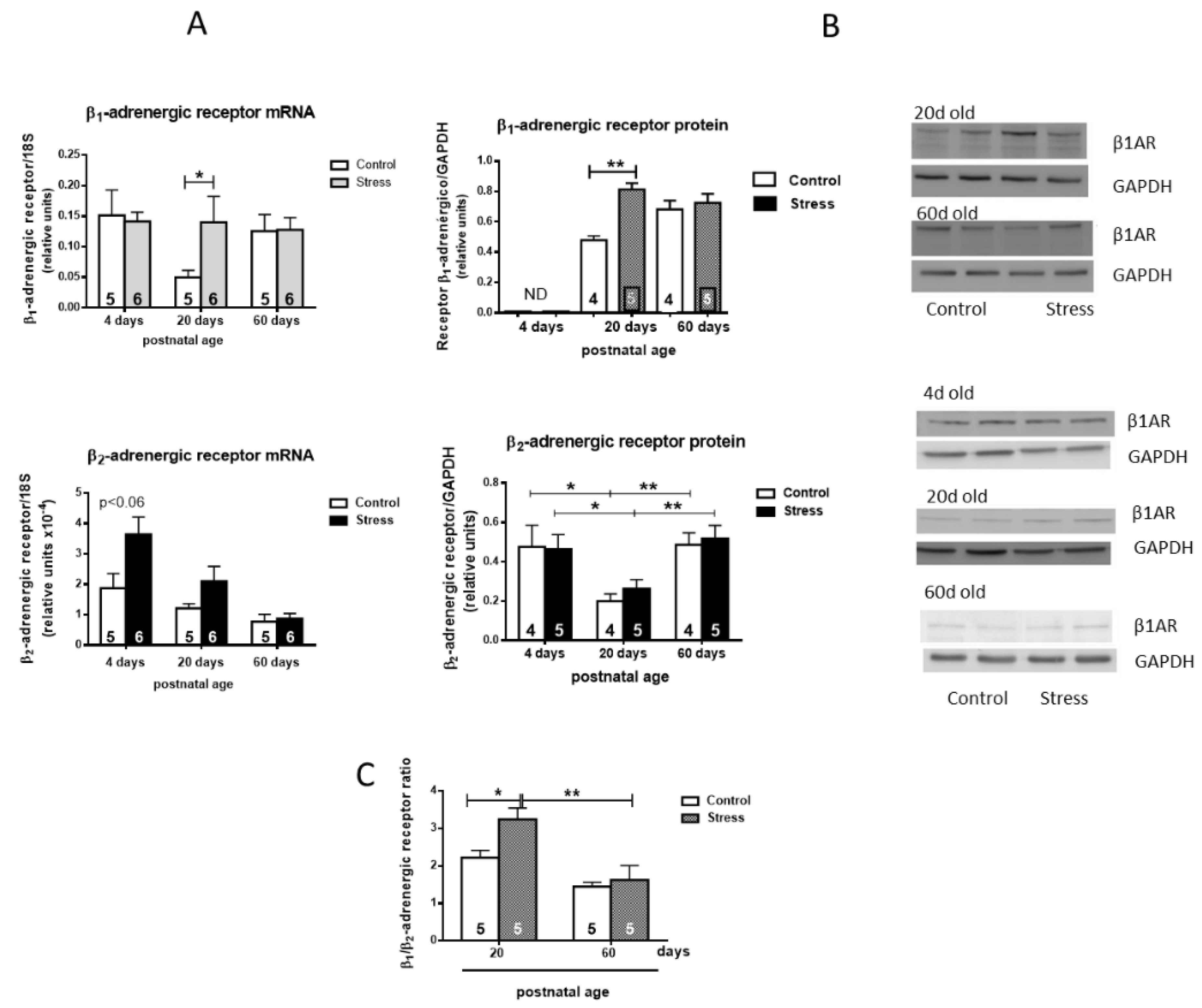 Preprints 109603 g003