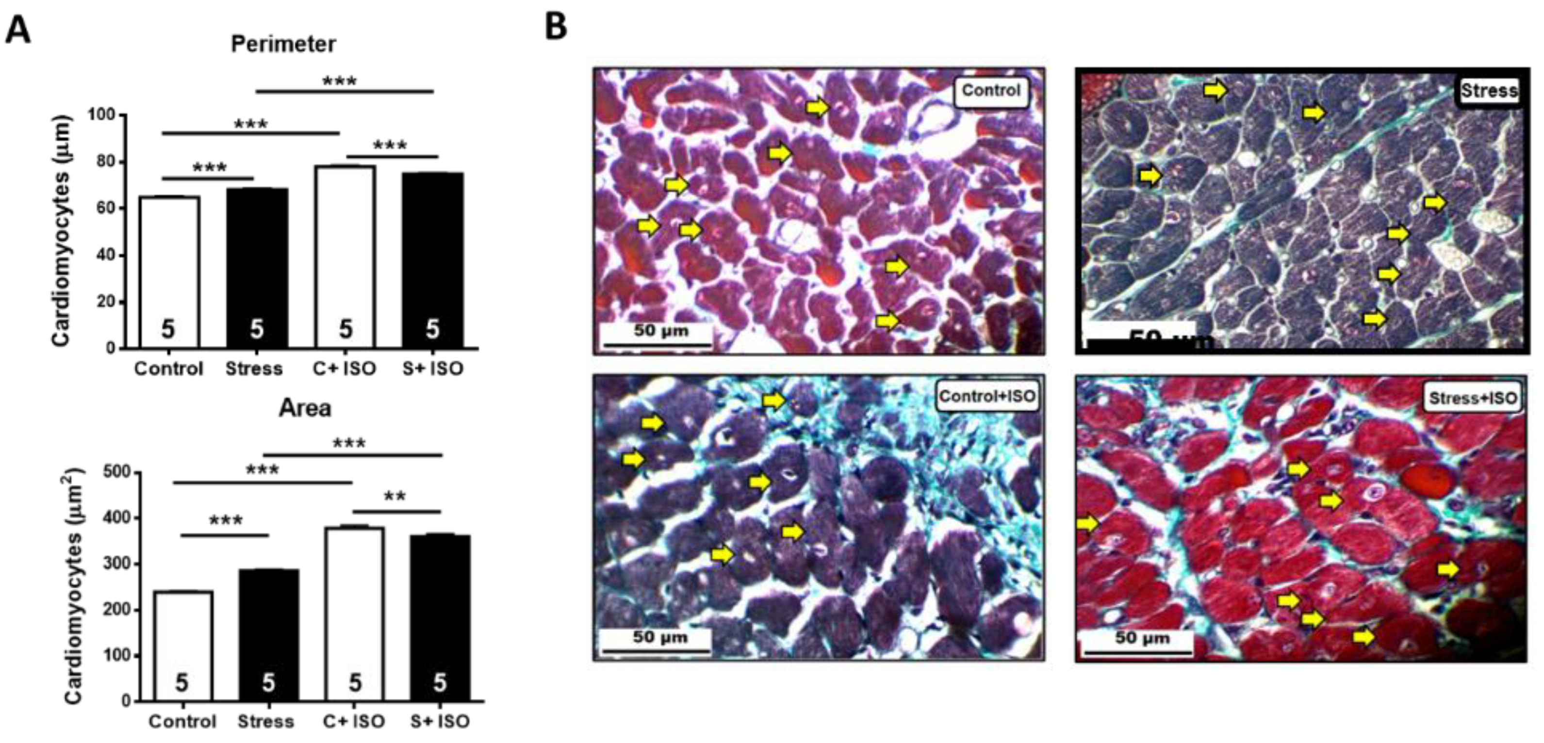 Preprints 109603 g005