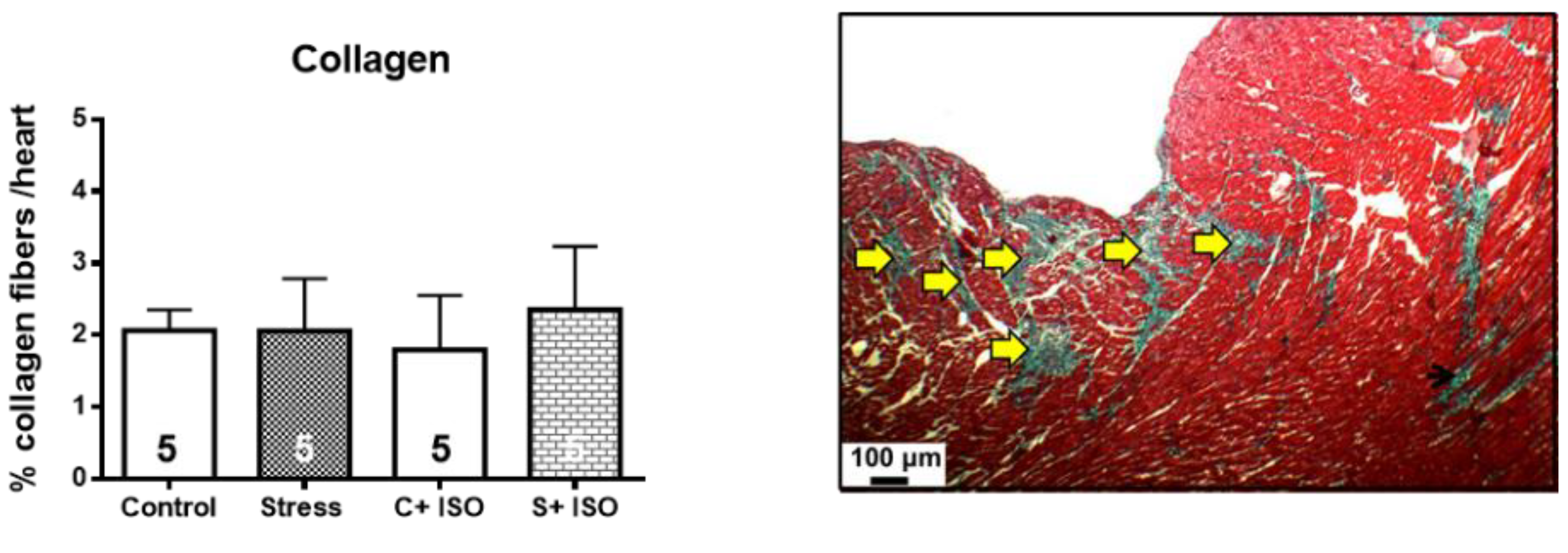 Preprints 109603 g006