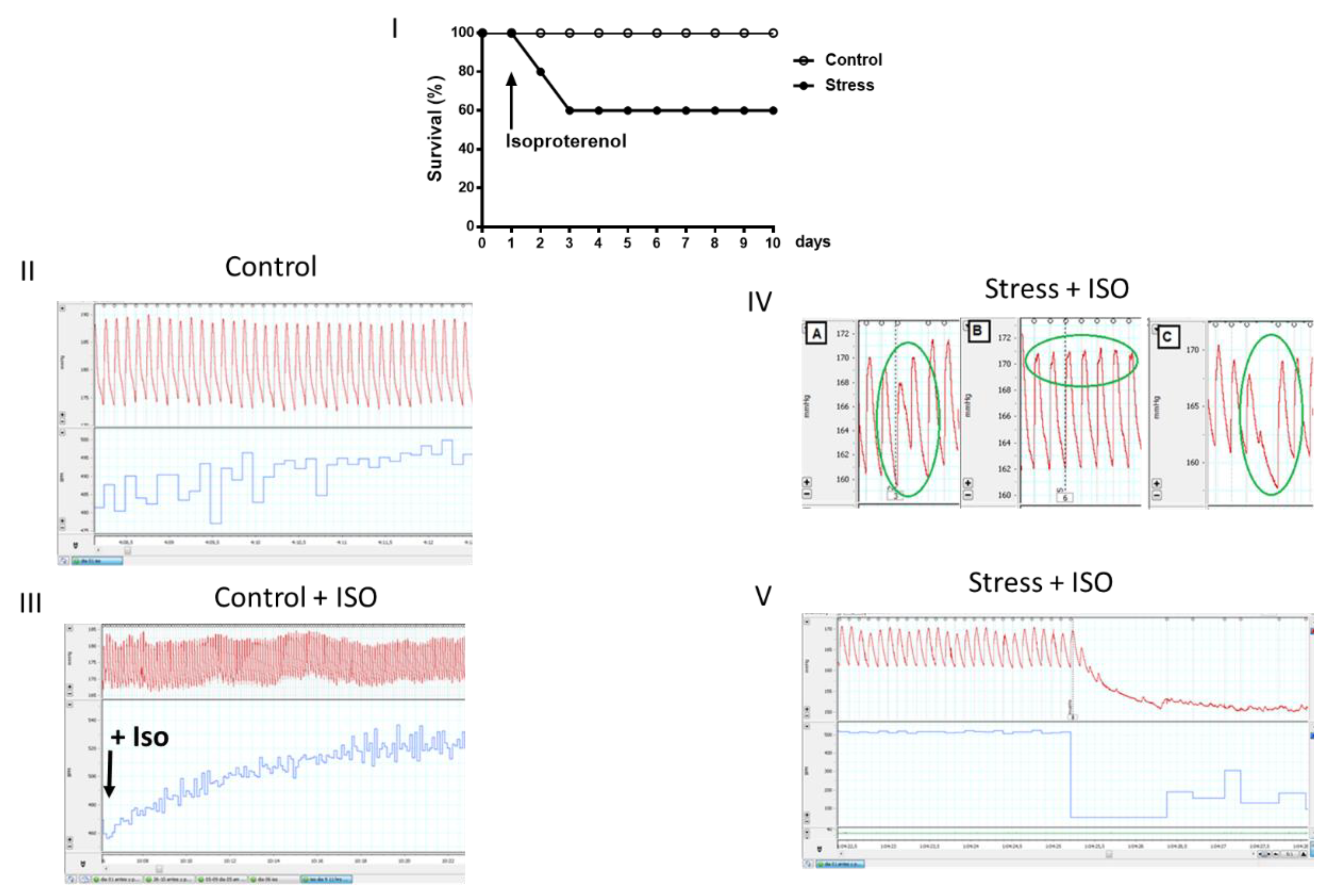 Preprints 109603 g007