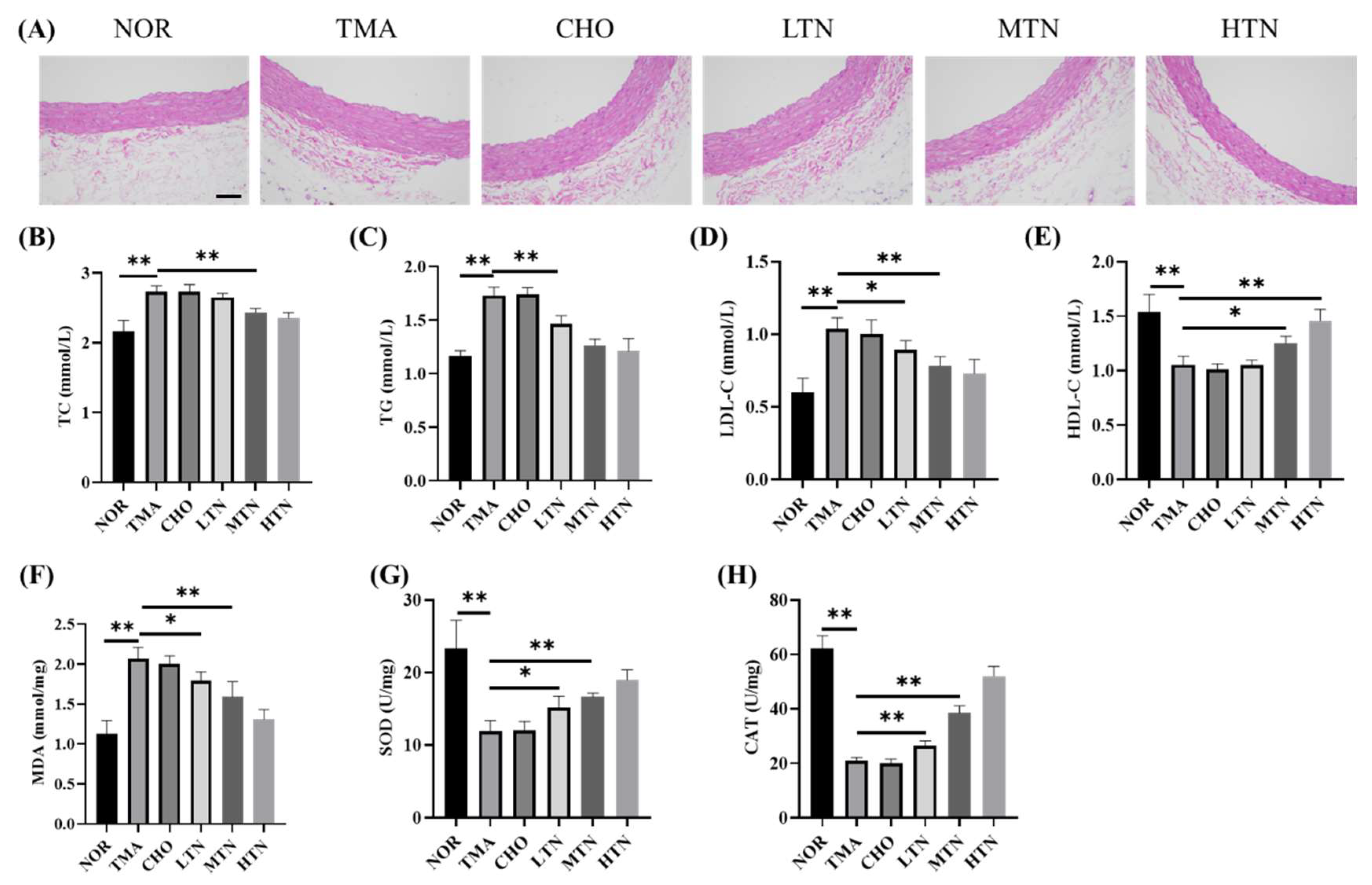 Preprints 96149 g001