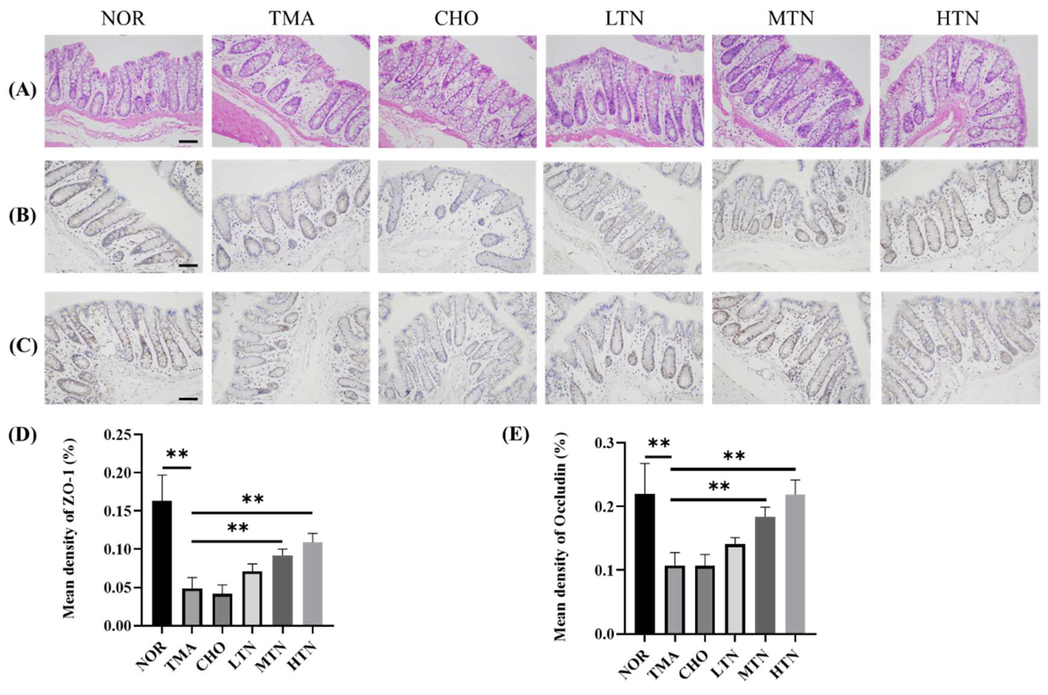 Preprints 96149 g002