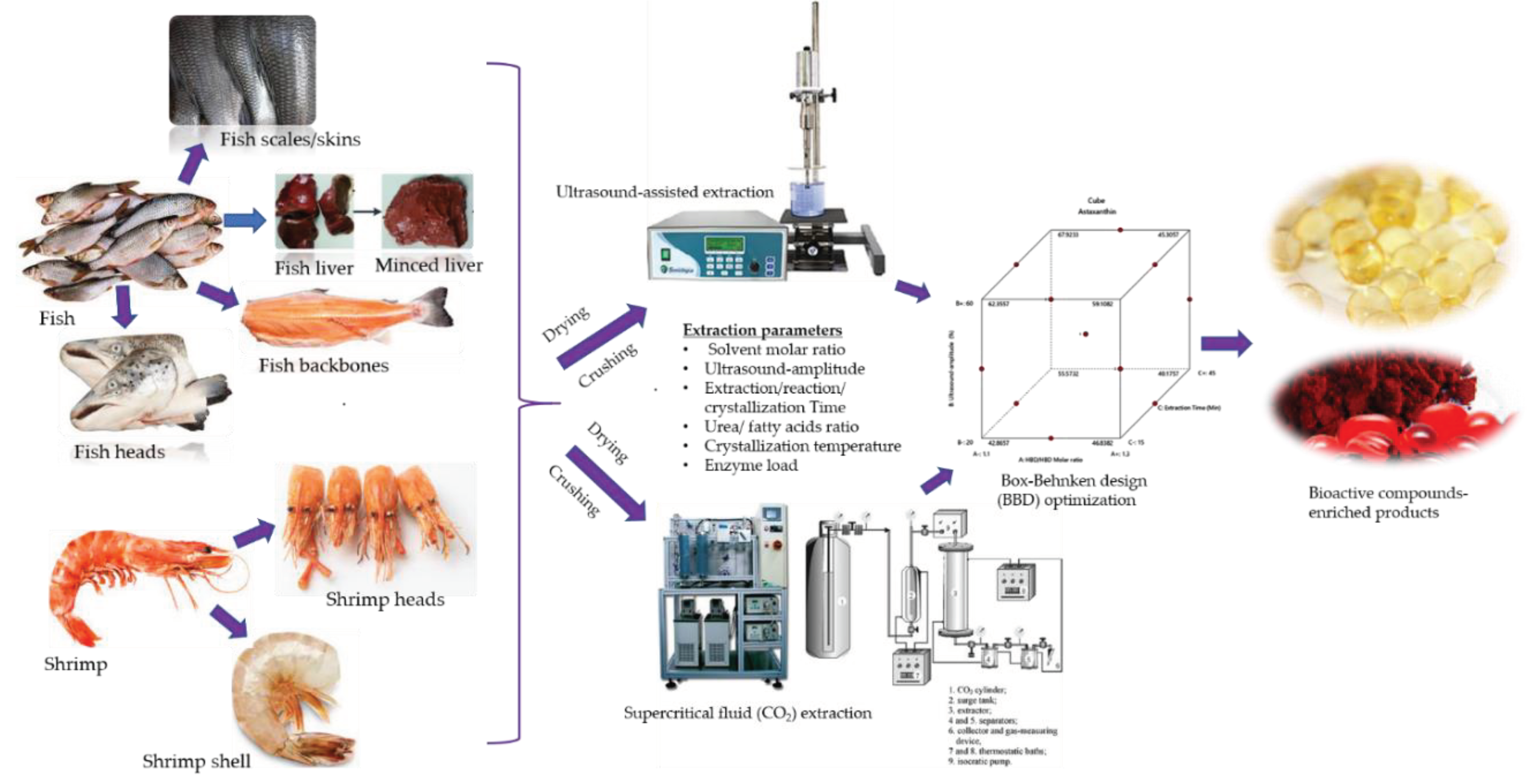 Preprints 102300 g005