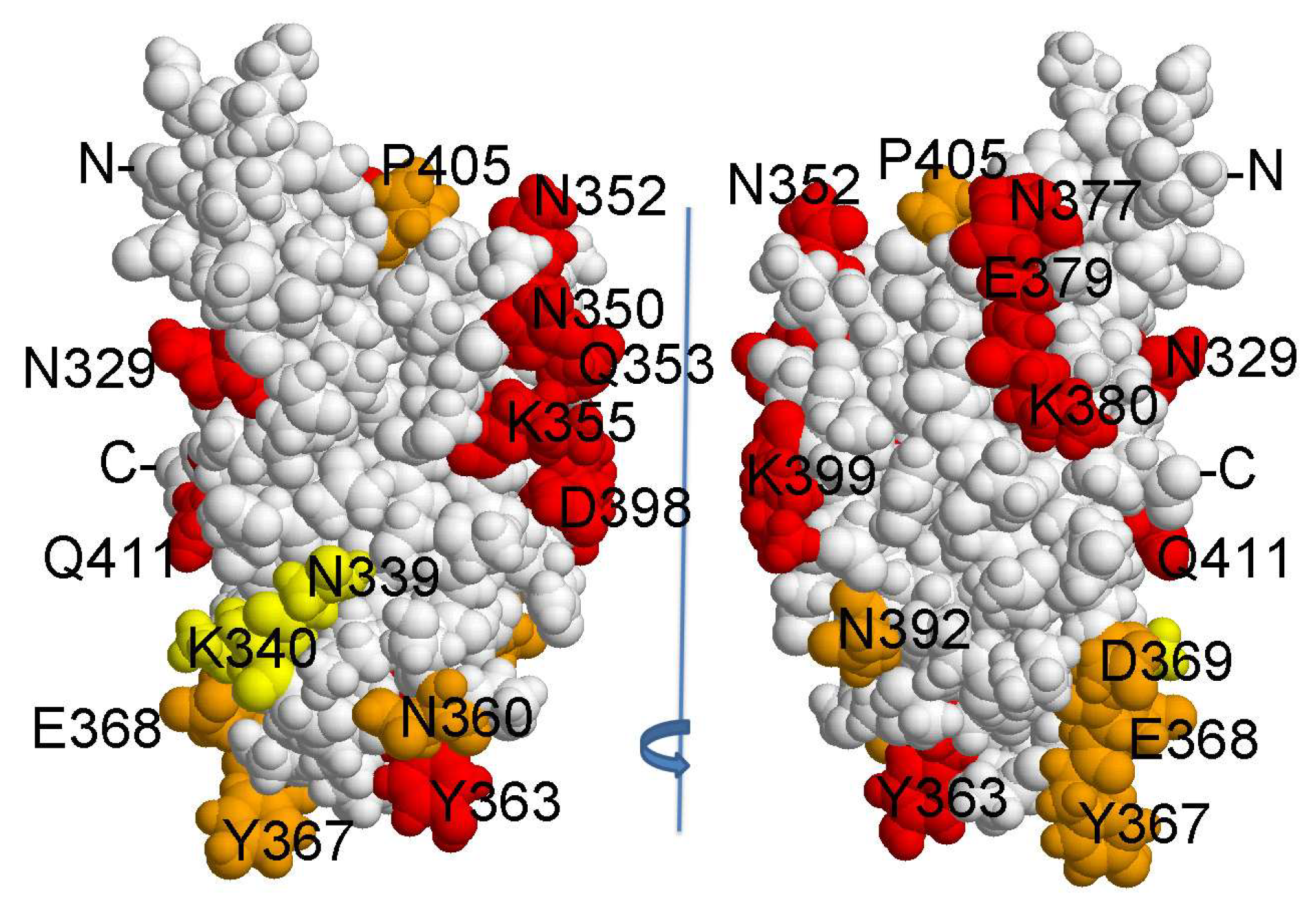 Preprints 87538 g004