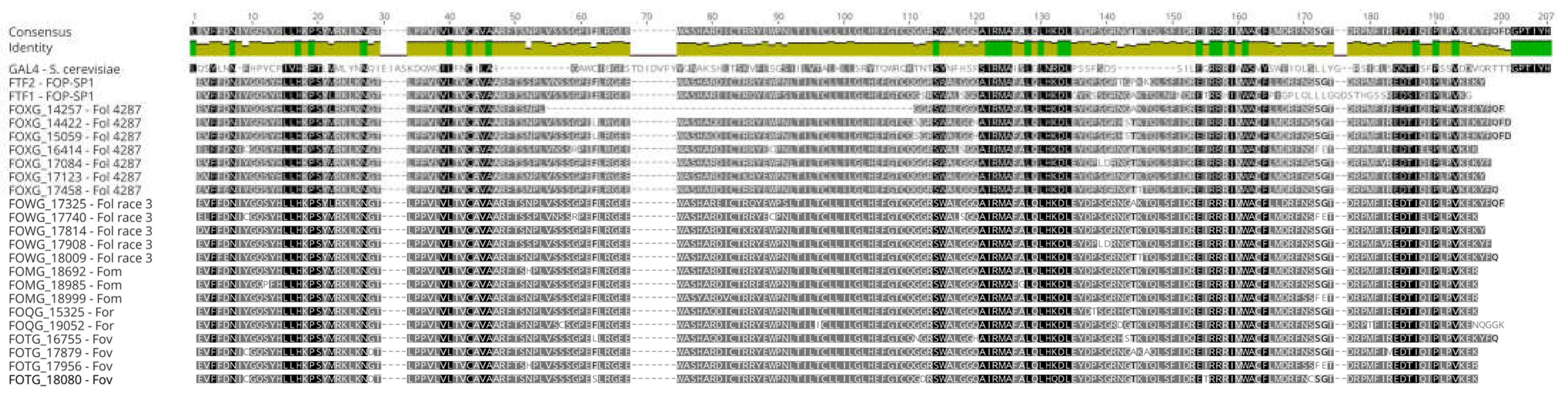 Preprints 67258 g001