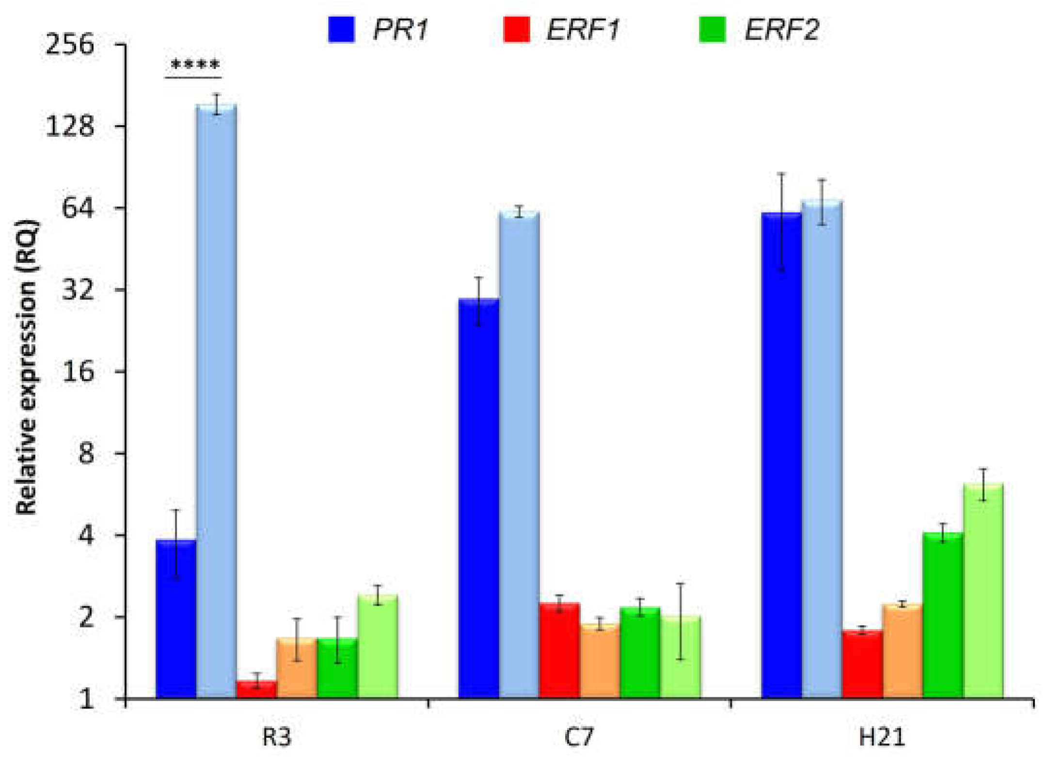 Preprints 67258 g006