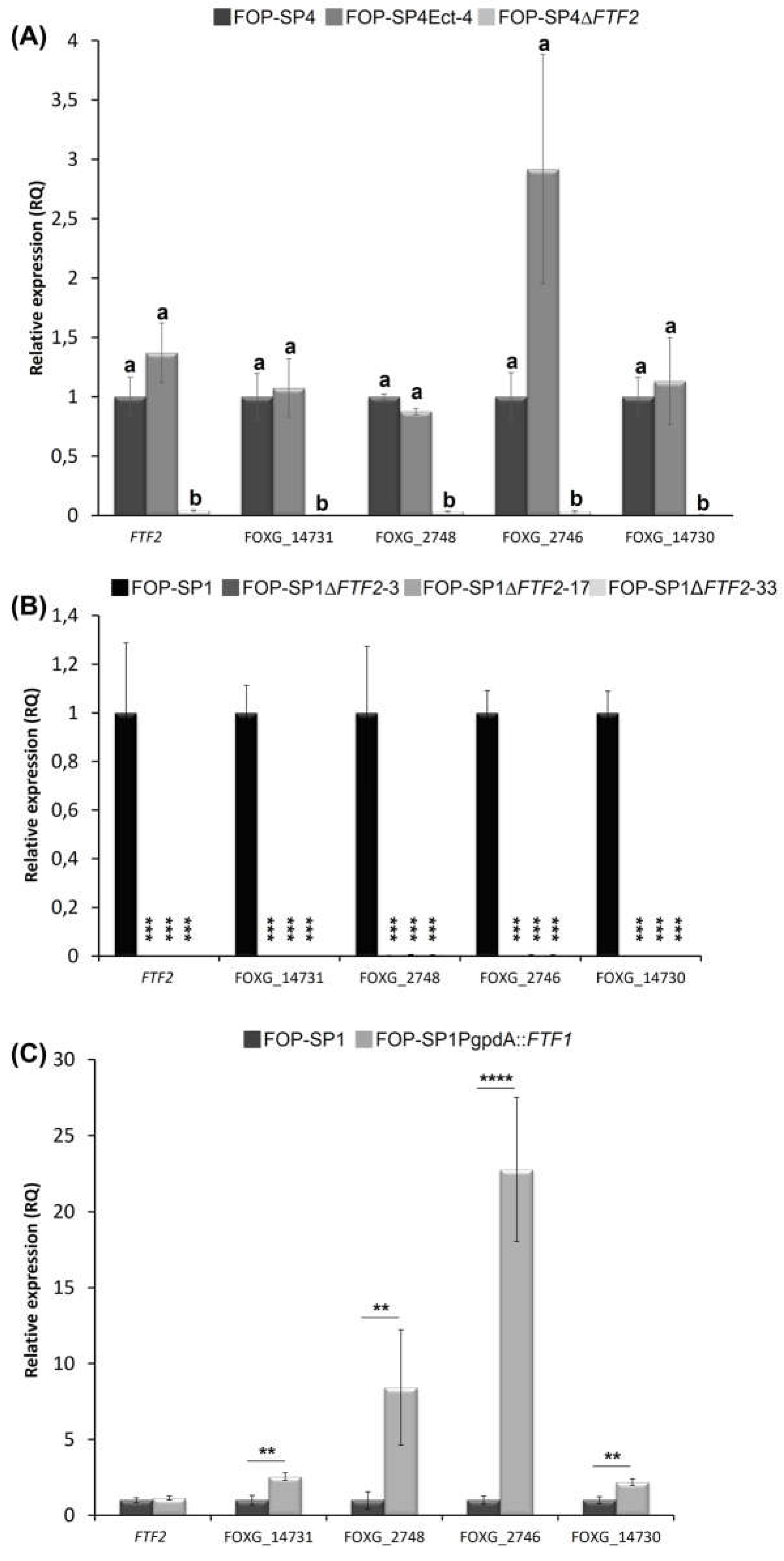 Preprints 67258 g007