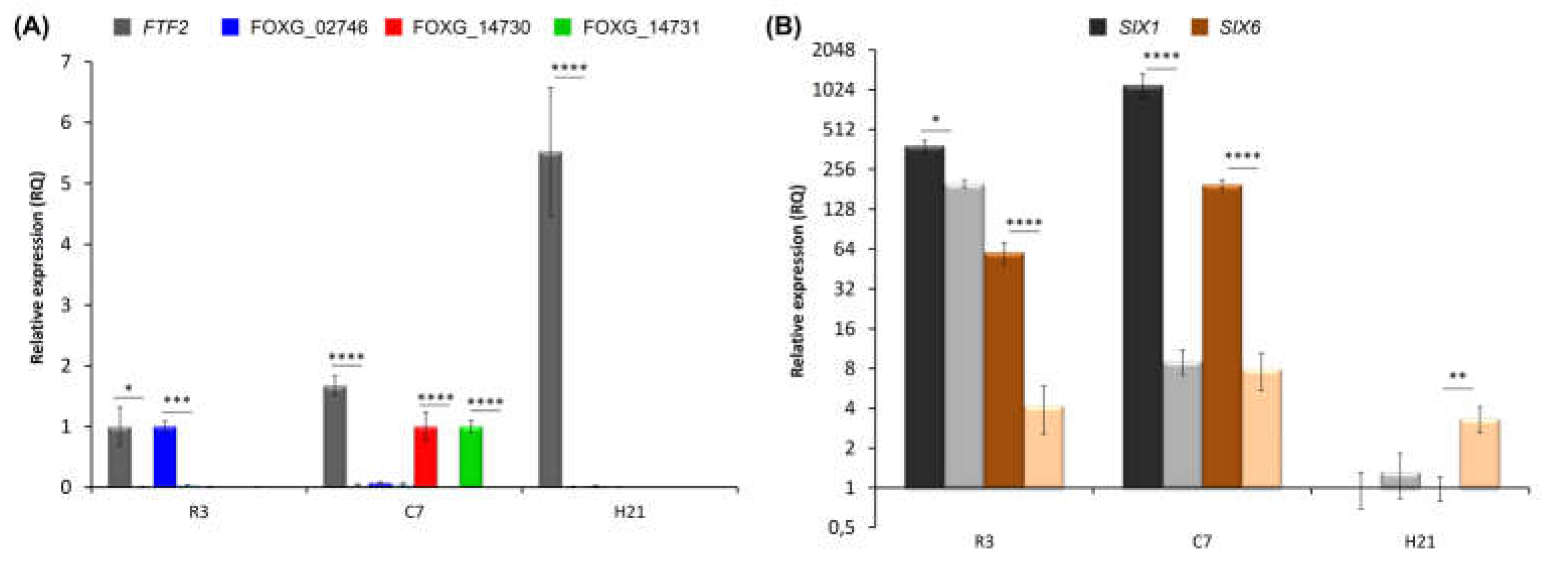 Preprints 67258 g008