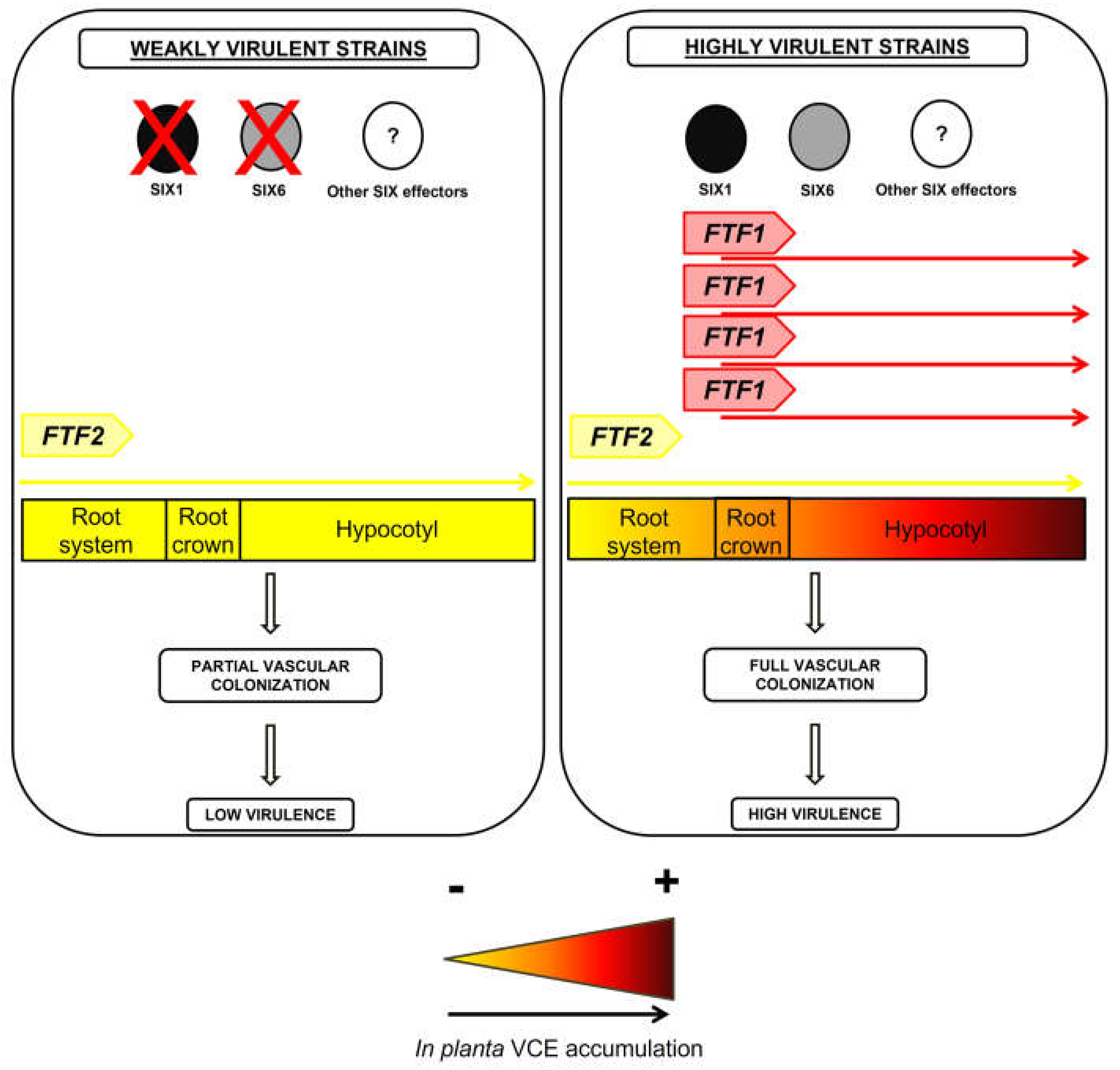 Preprints 67258 g009