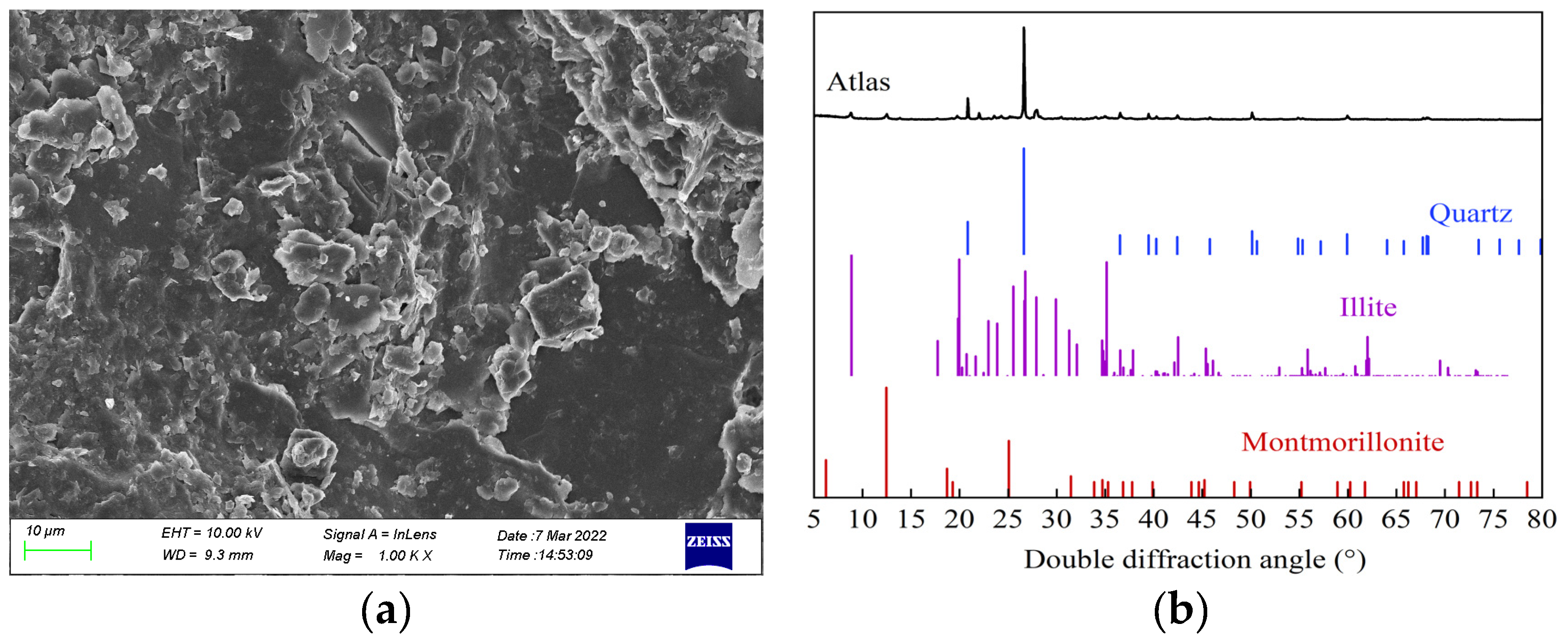 Preprints 99697 g001