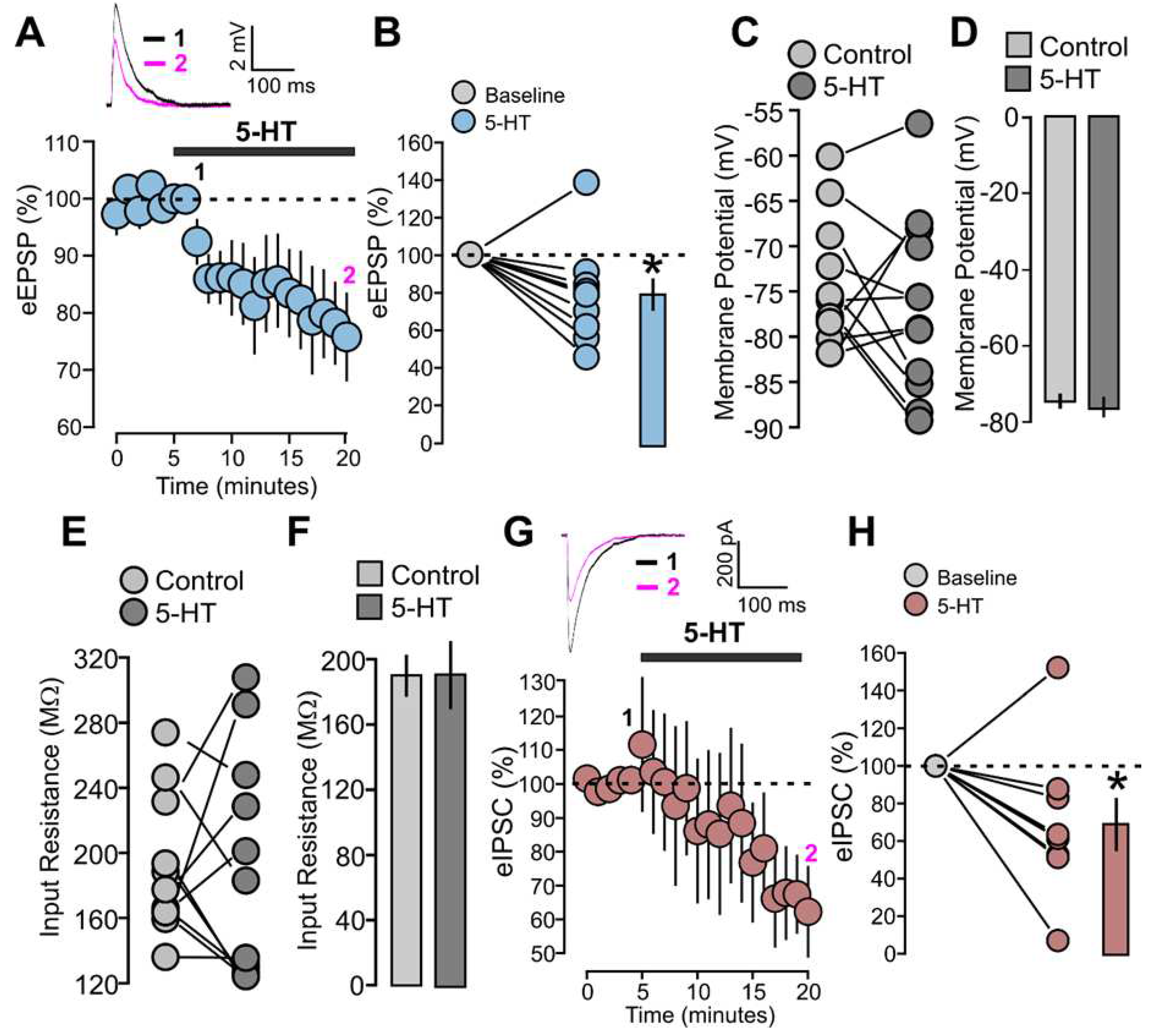 Preprints 85169 g003