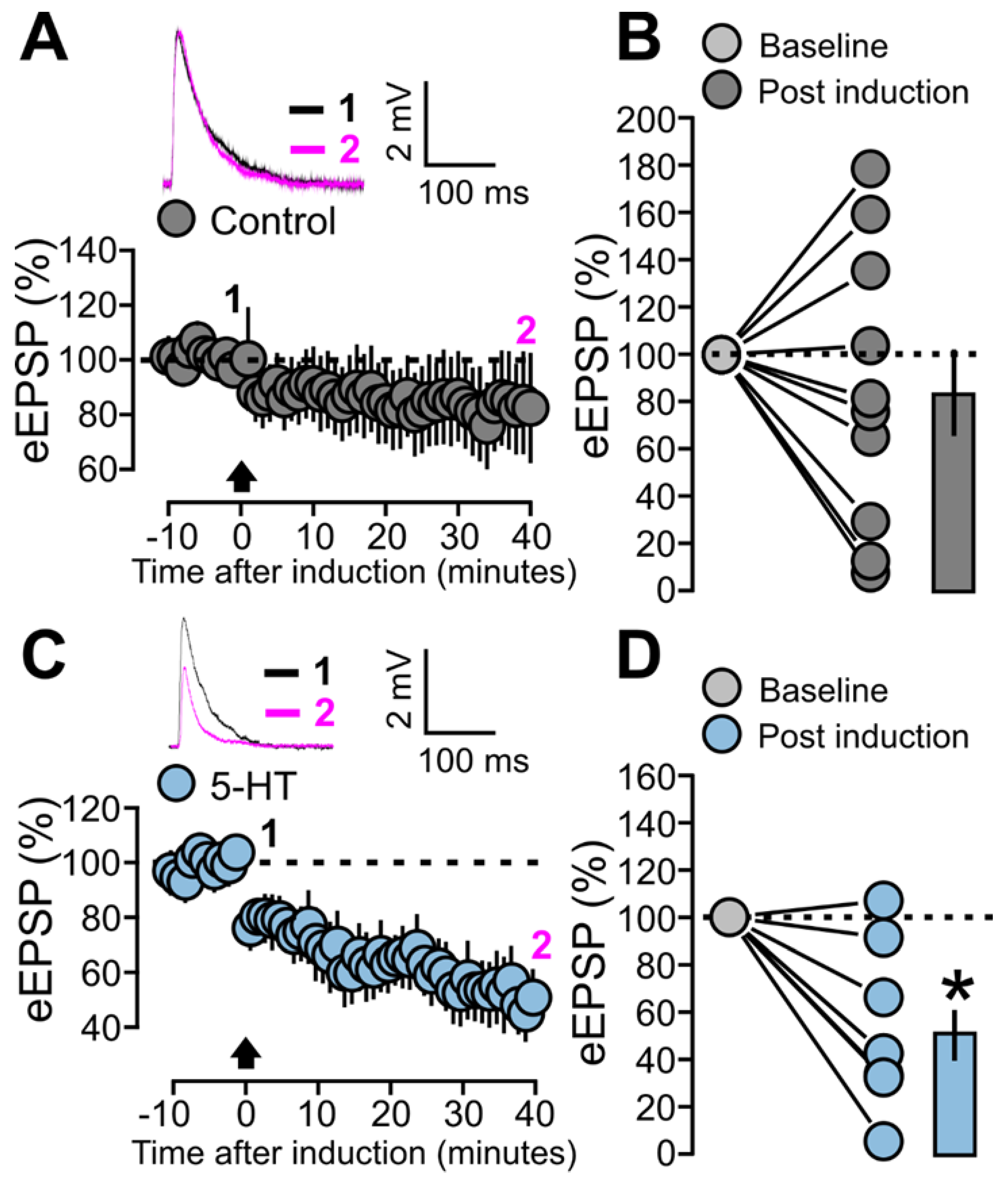 Preprints 85169 g004