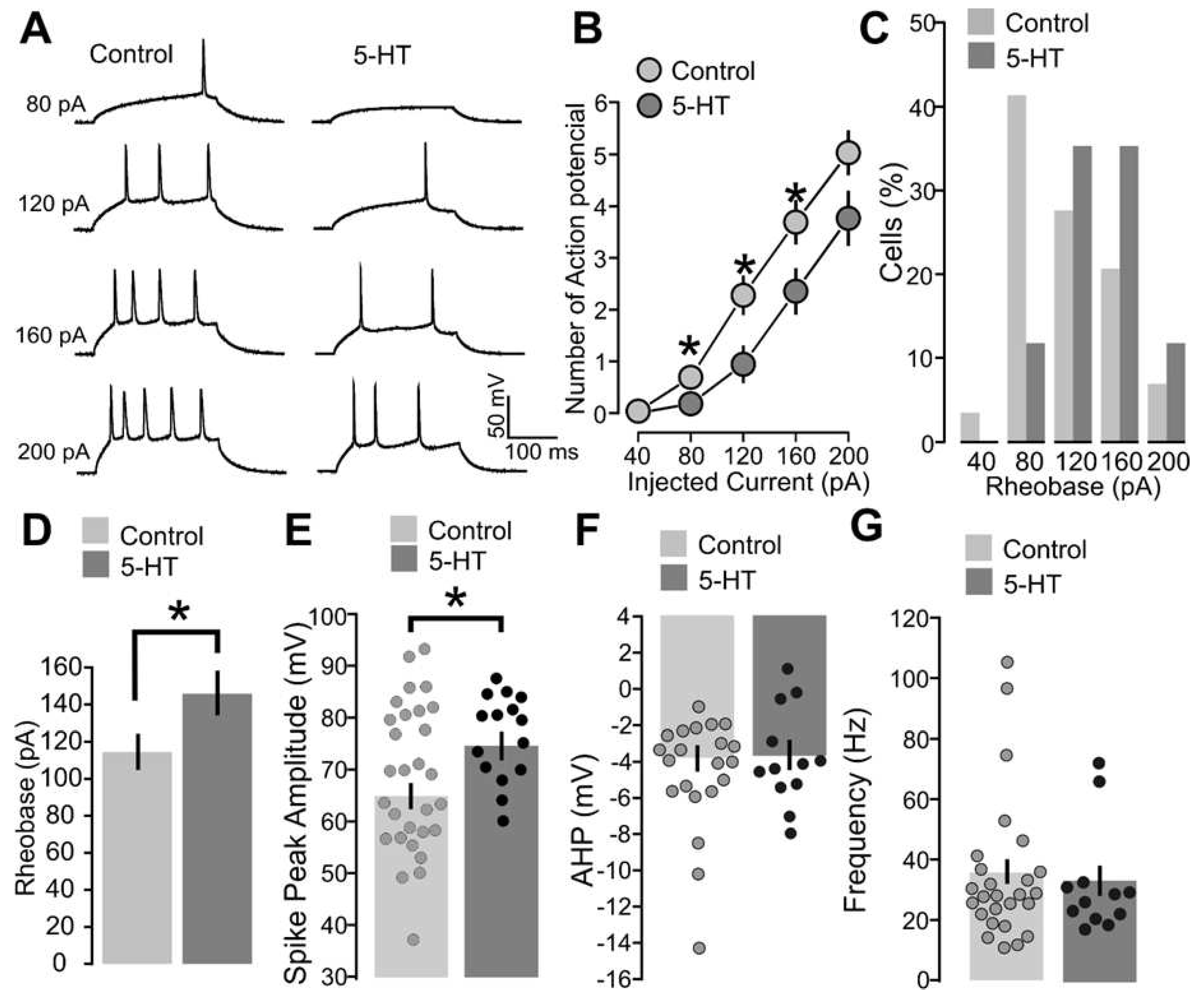 Preprints 85169 g005