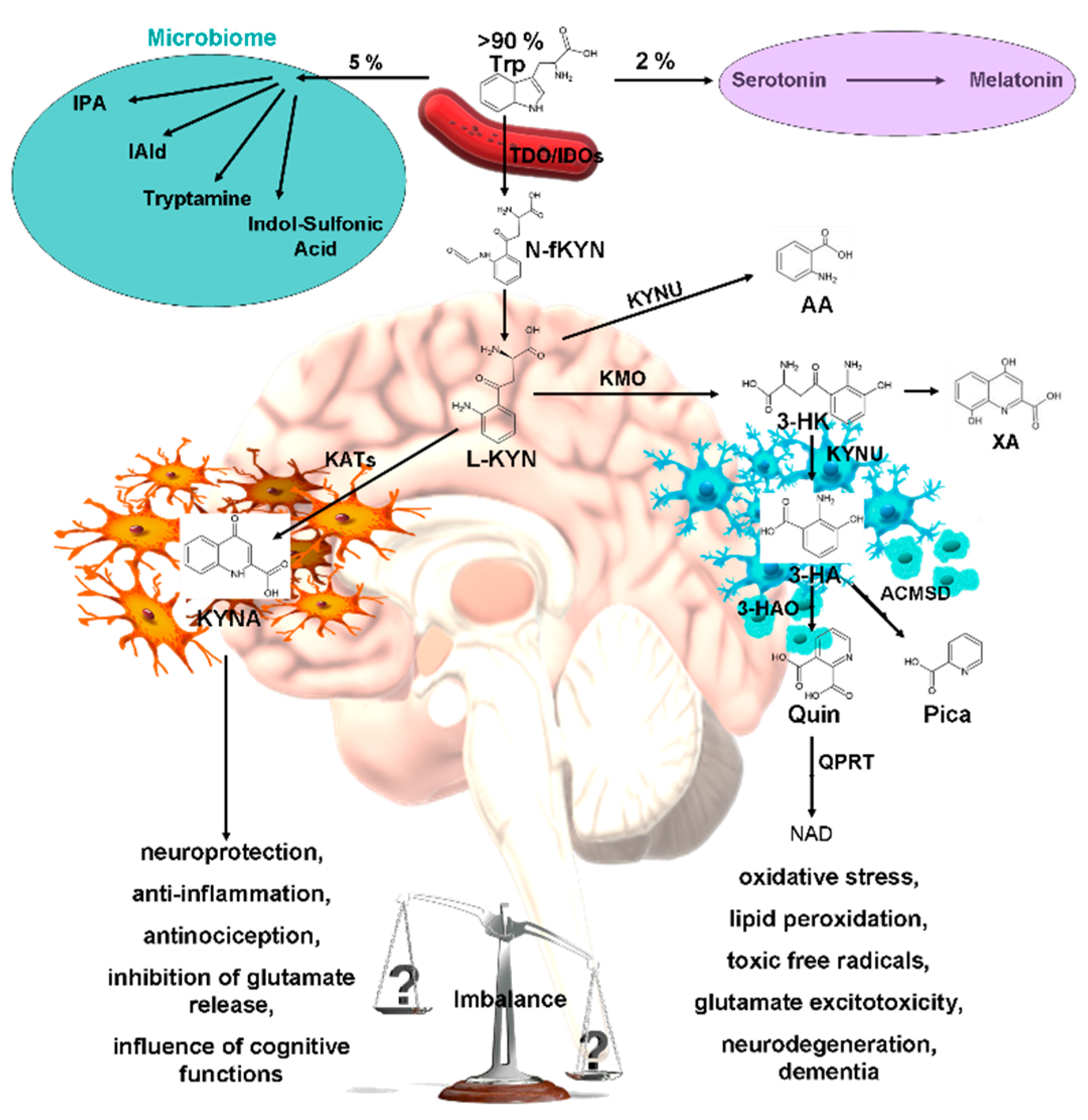 Preprints 99333 g001