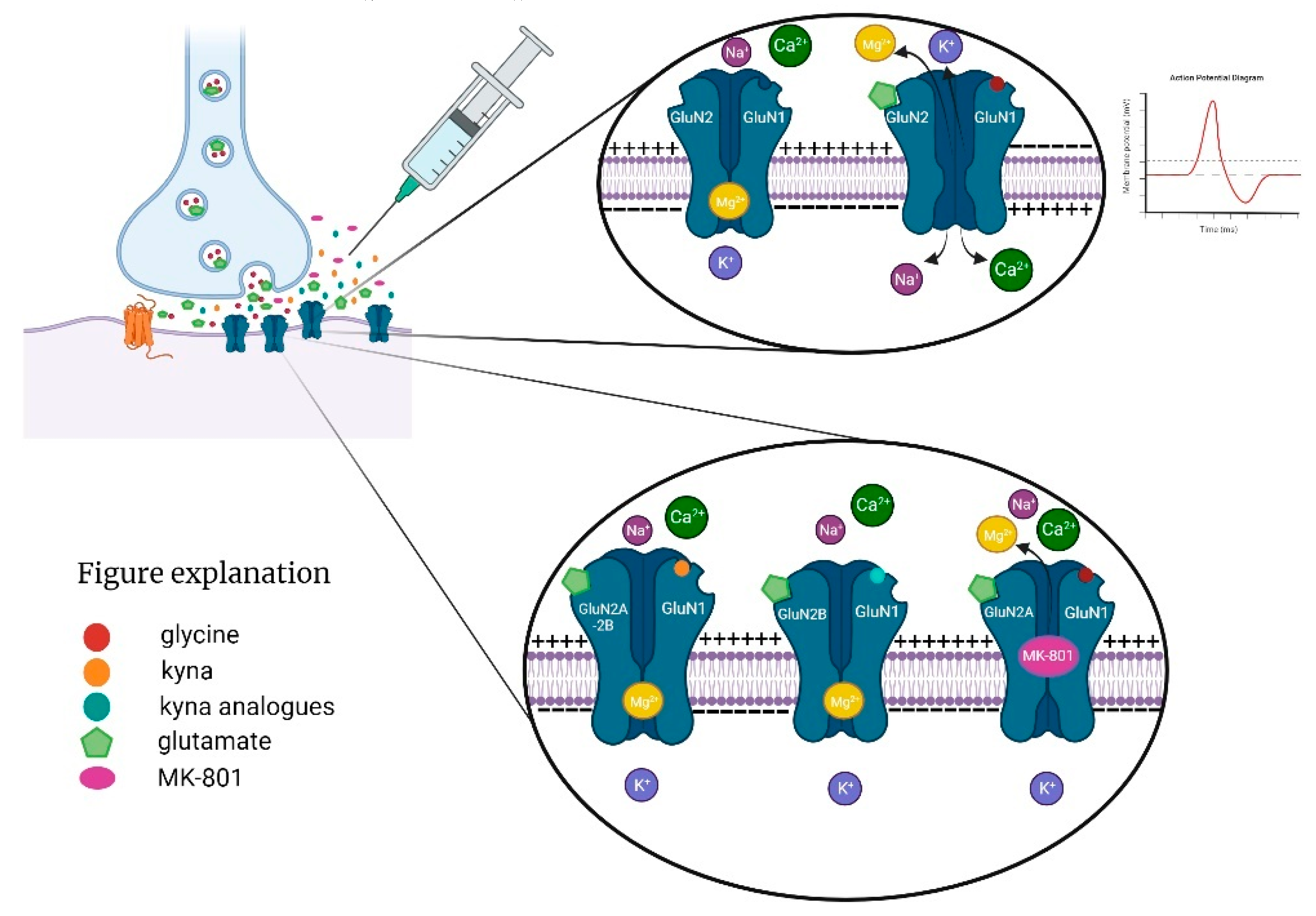 Preprints 99333 g002