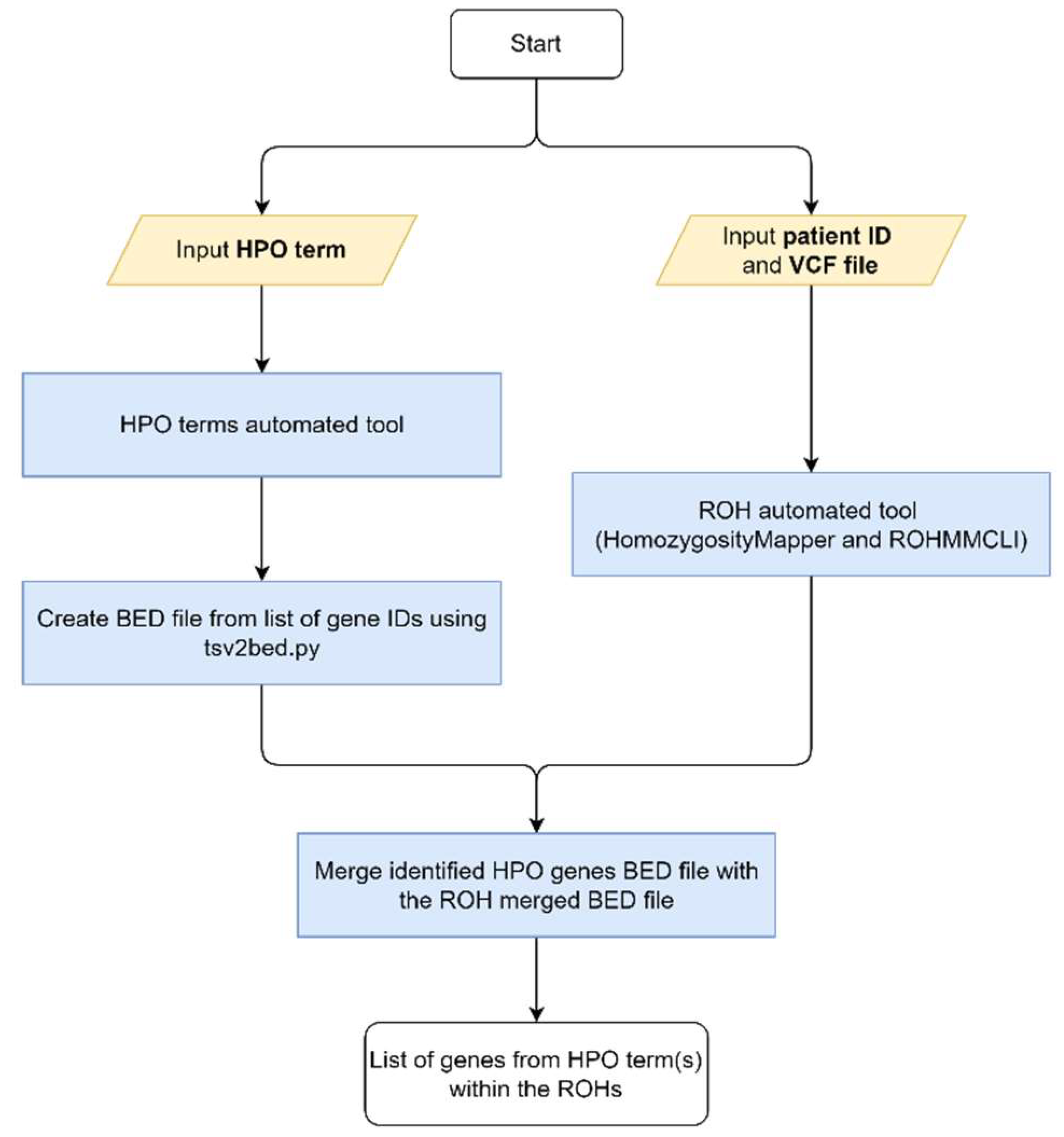 Preprints 120843 g004