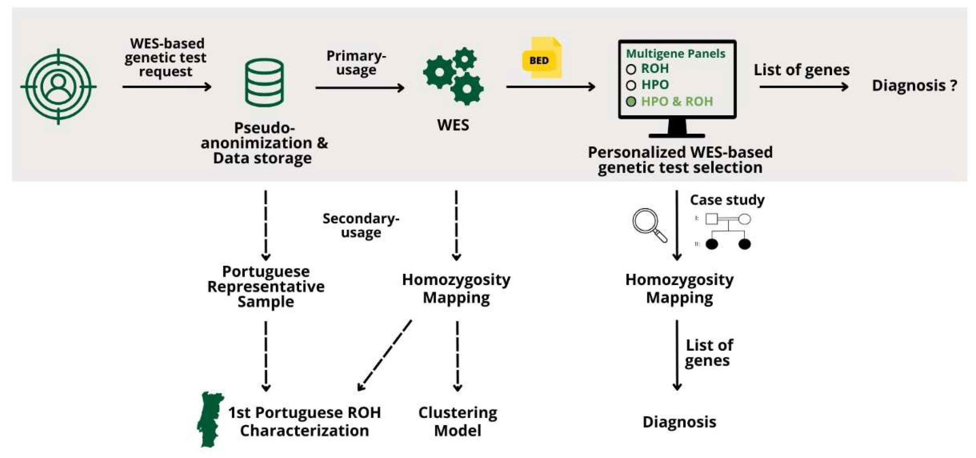 Preprints 120843 g005