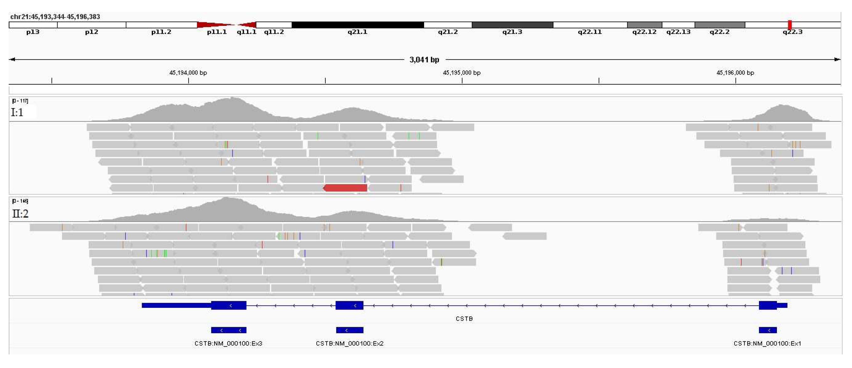 Preprints 120843 g008