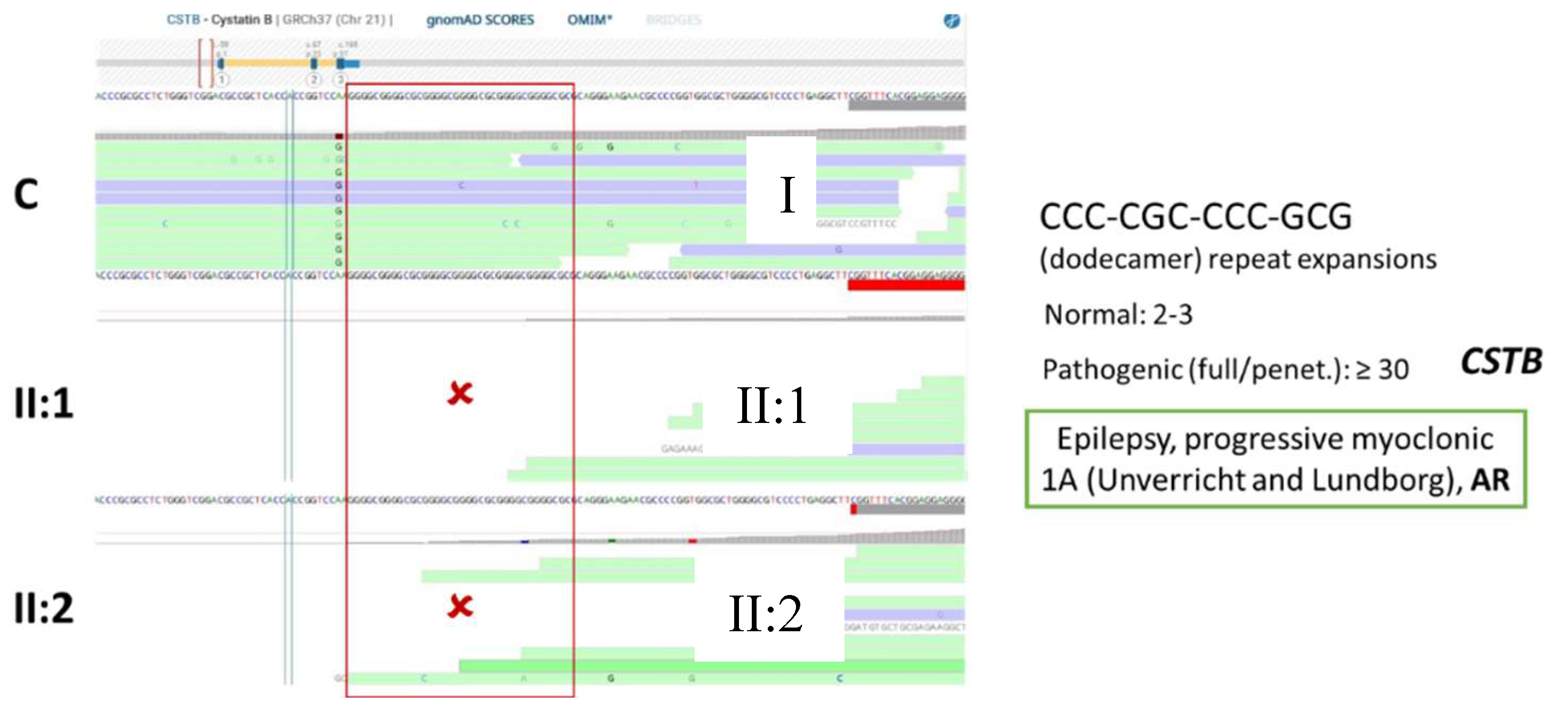 Preprints 120843 g009