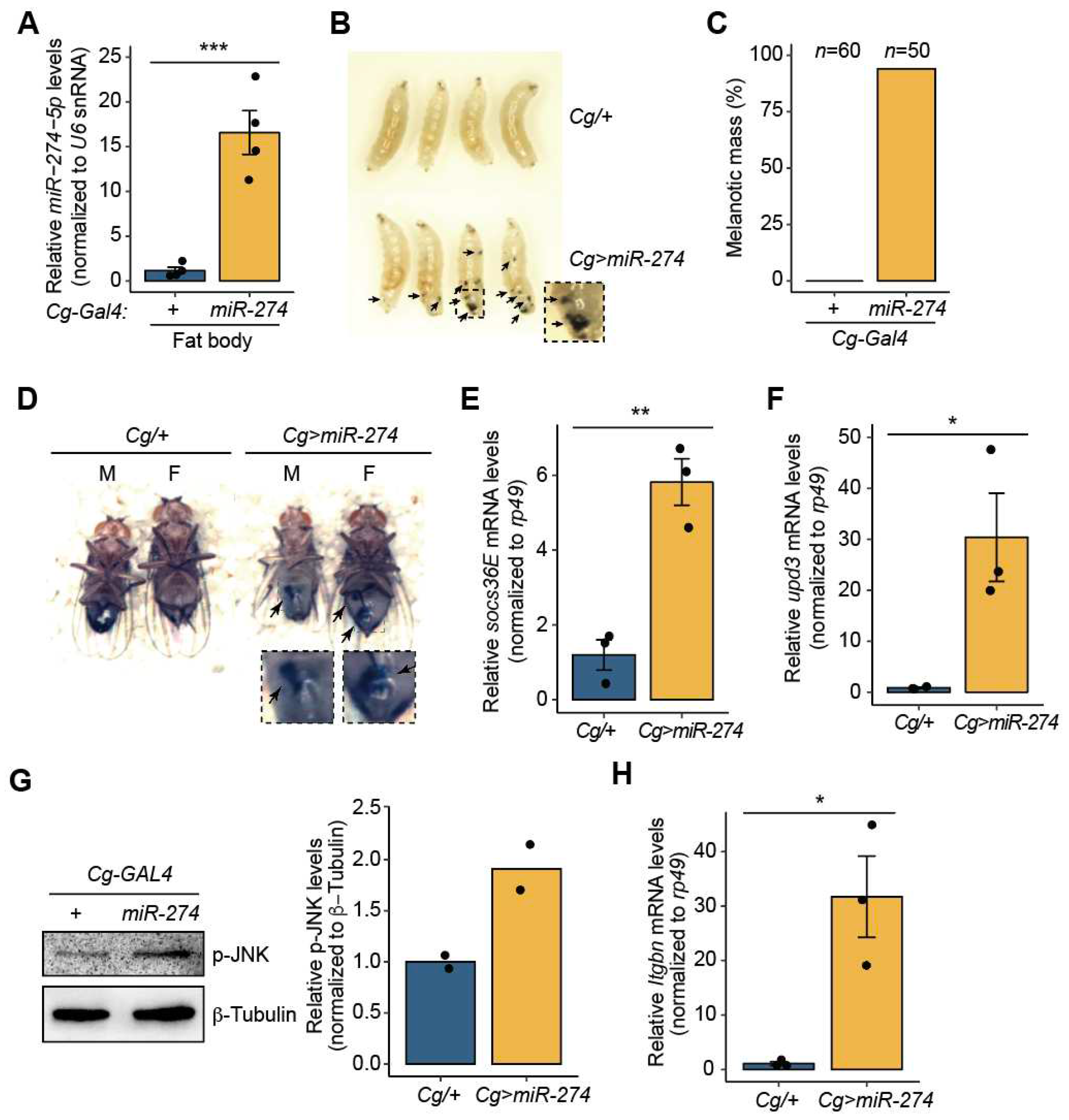 Preprints 75923 g001