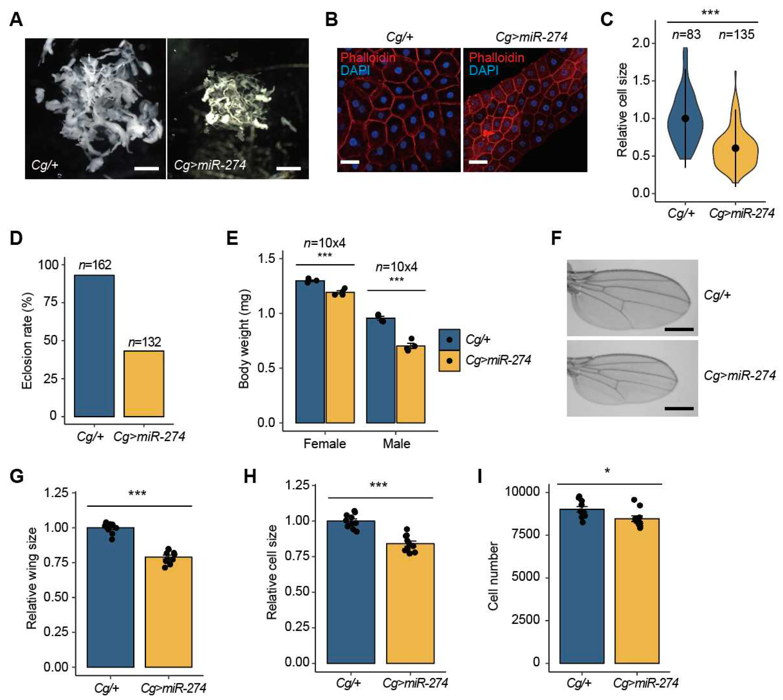 Preprints 75923 g002