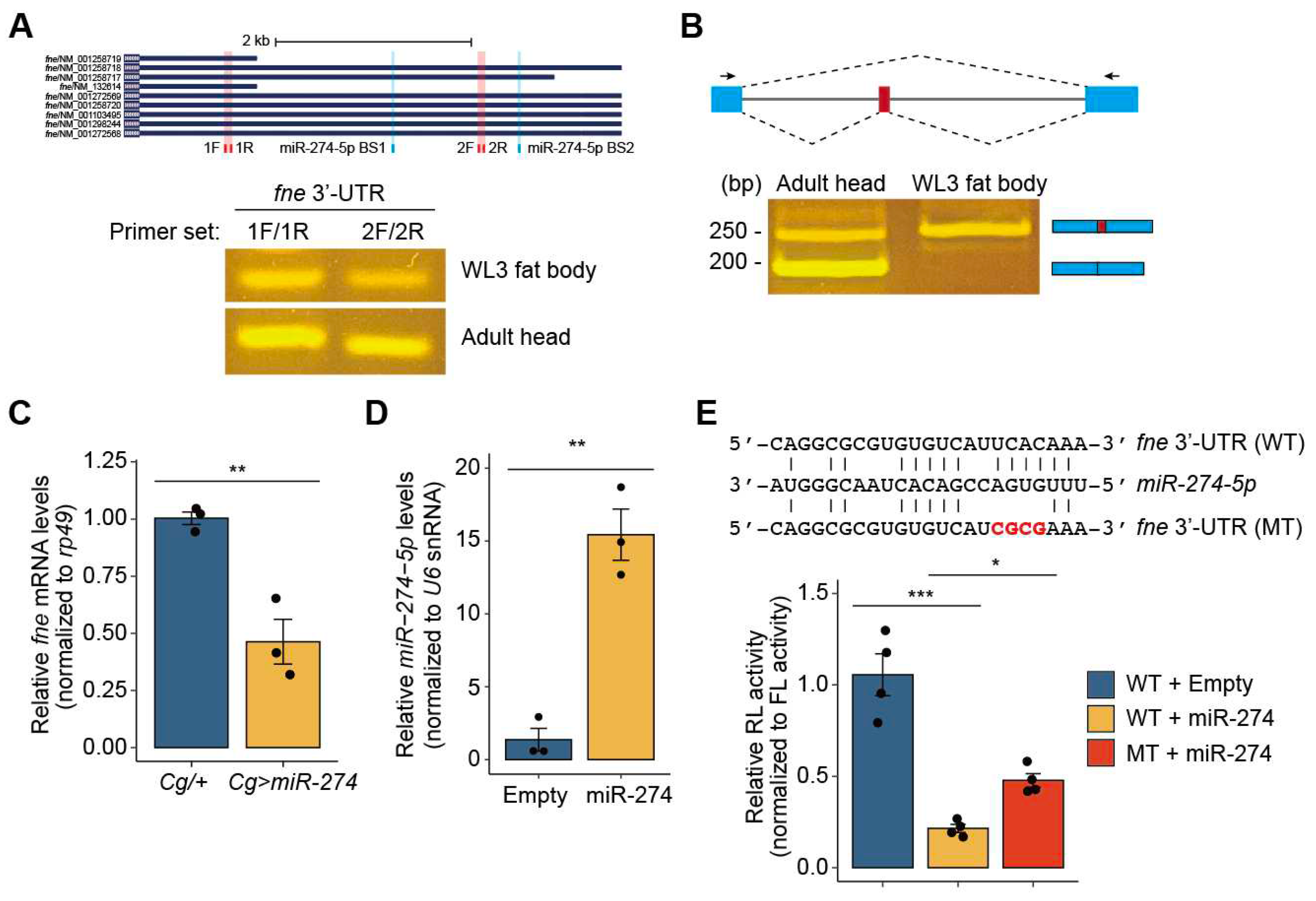 Preprints 75923 g003