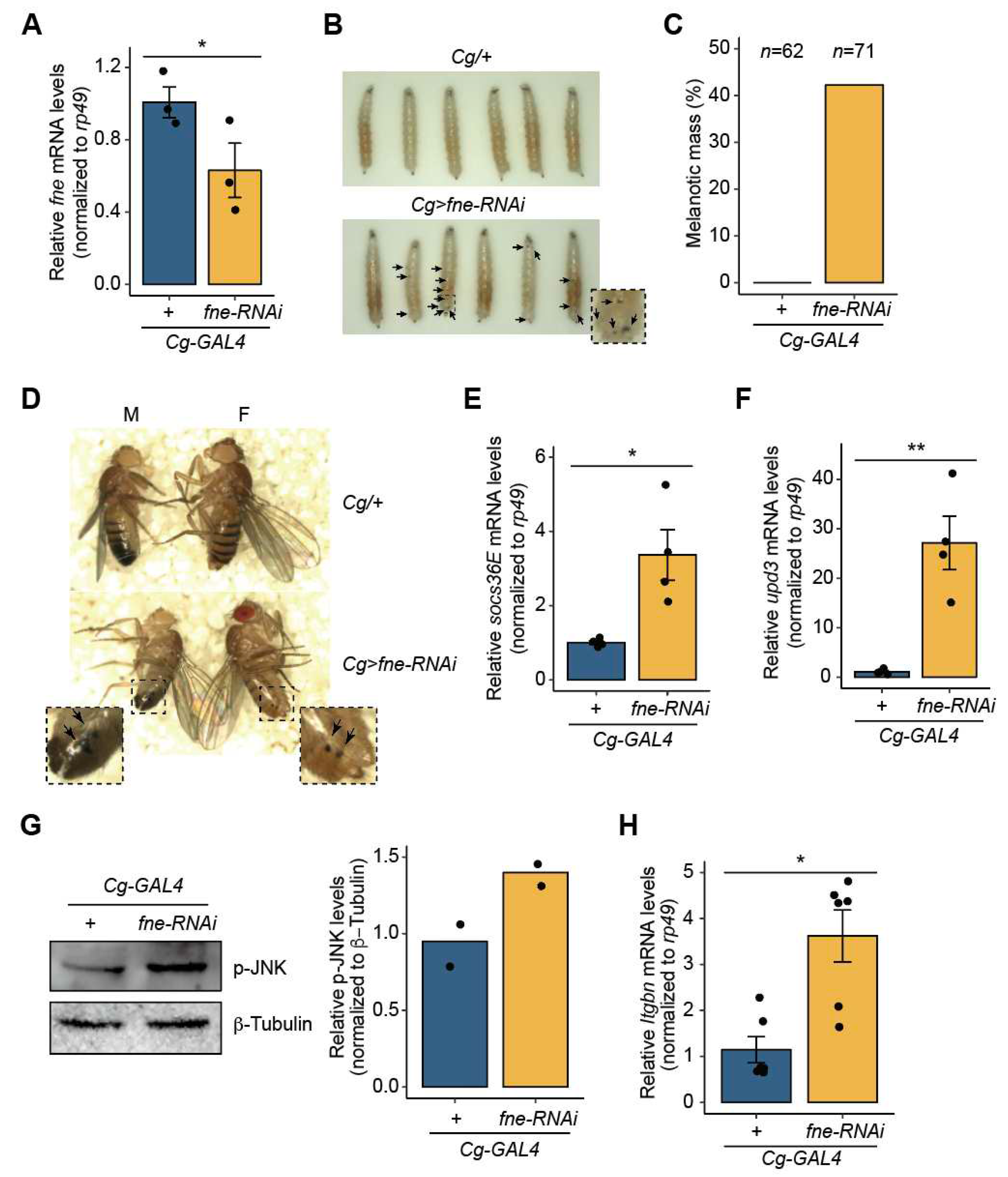 Preprints 75923 g004