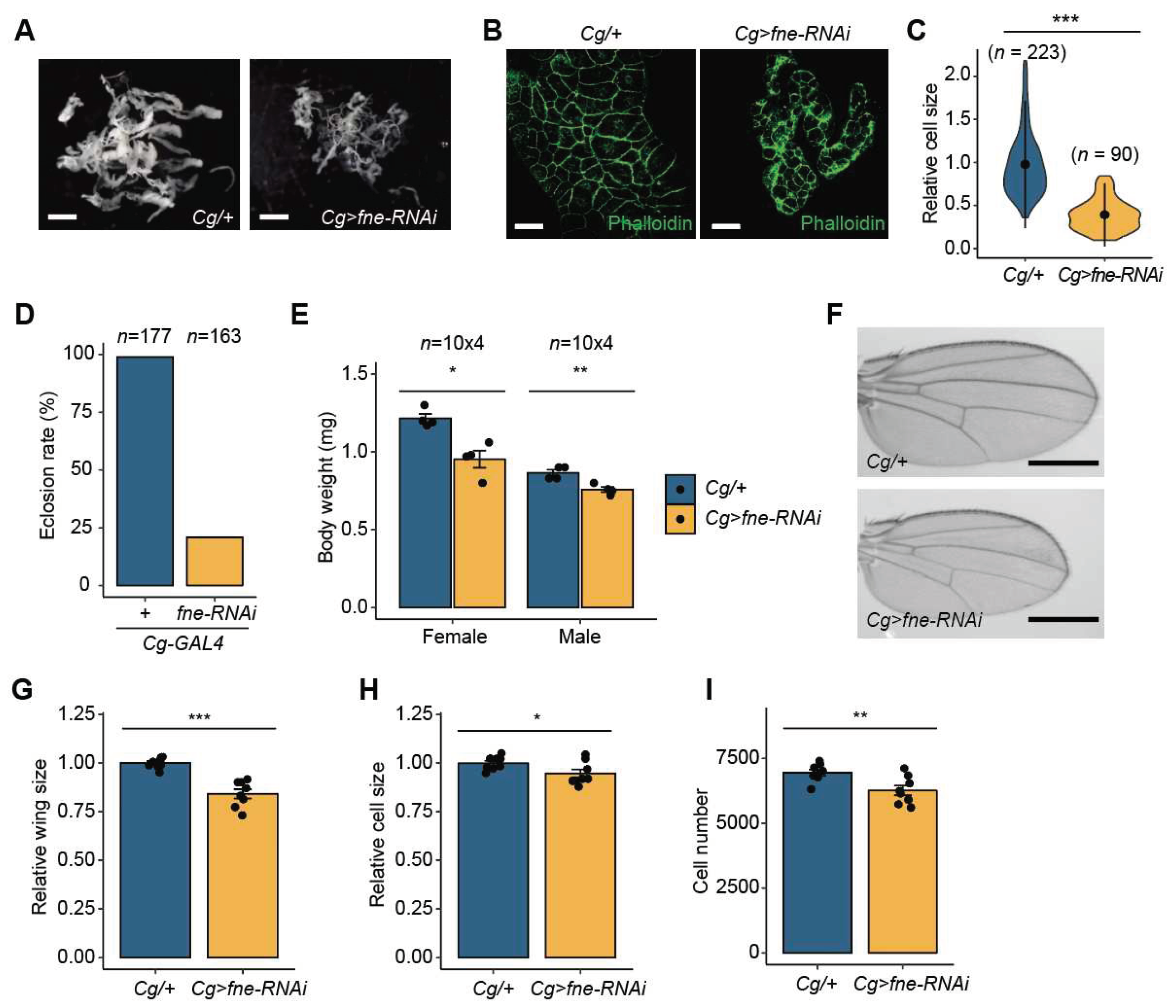 Preprints 75923 g005