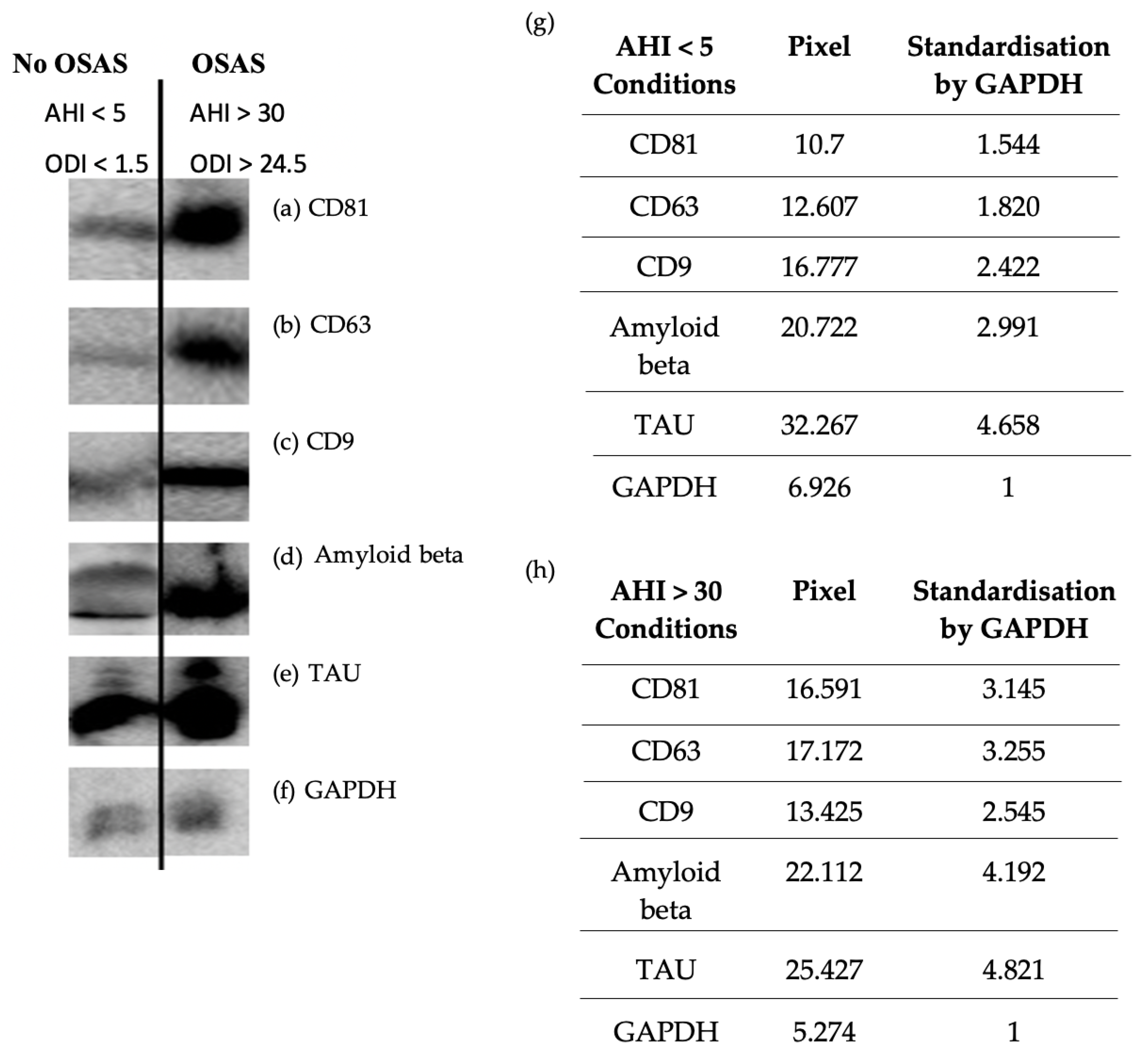 Preprints 118600 g002