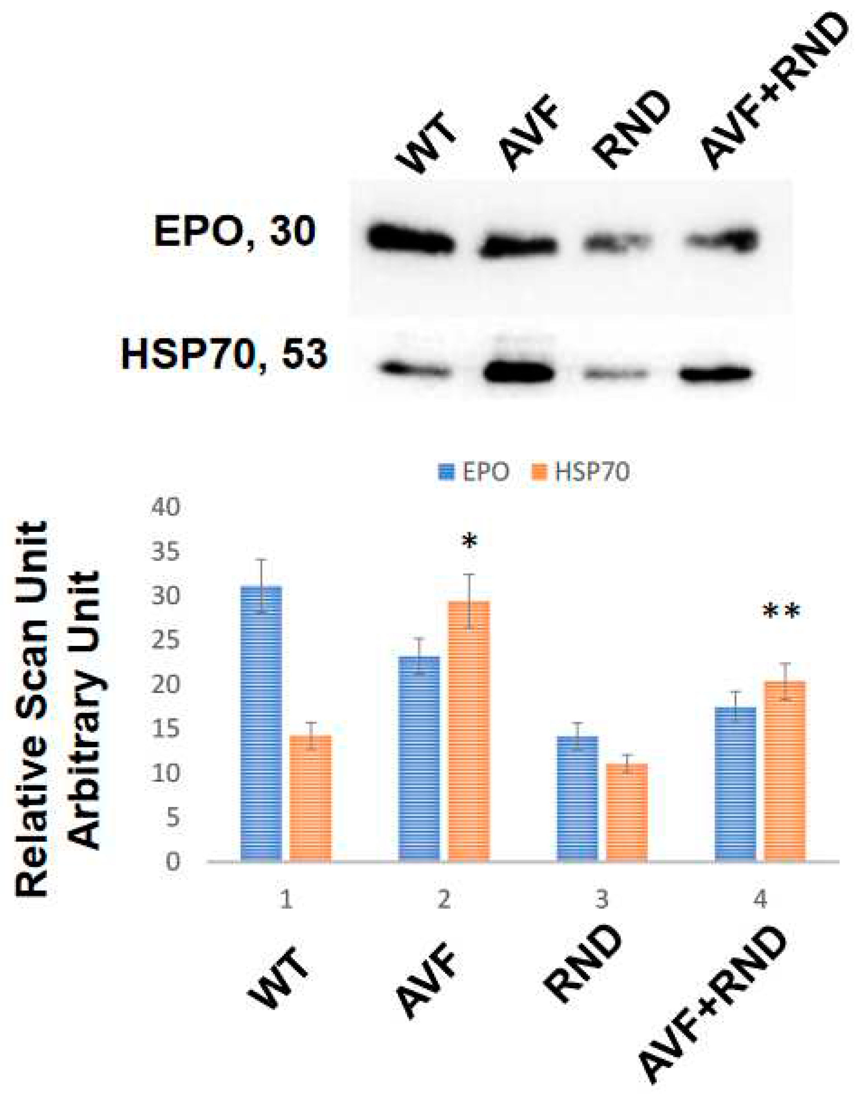 Preprints 69318 g001