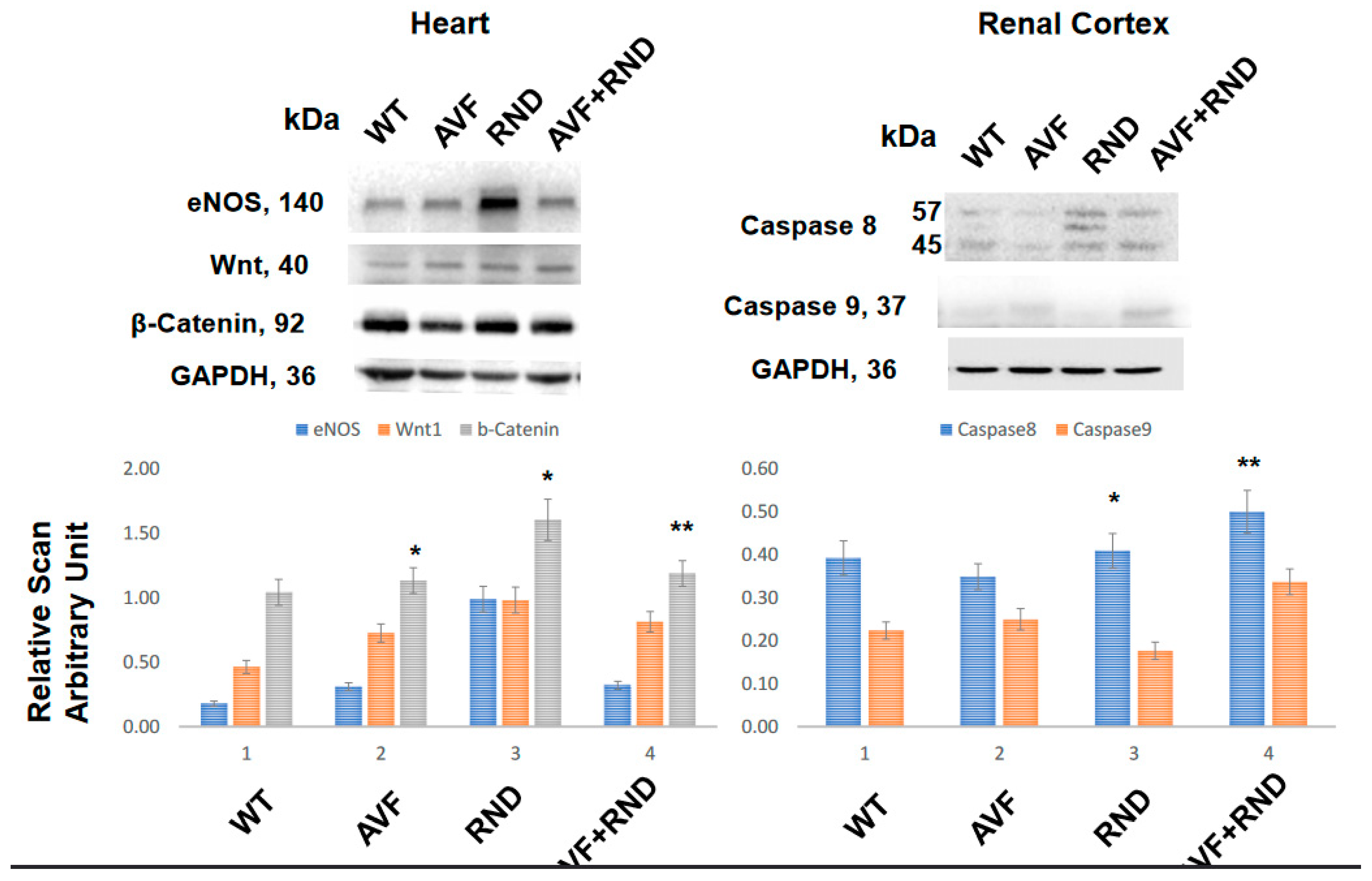 Preprints 69318 g002