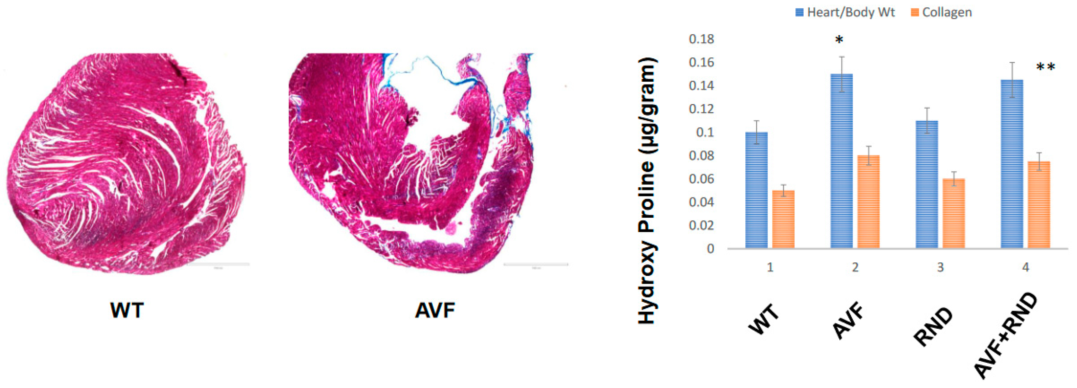 Preprints 69318 g005