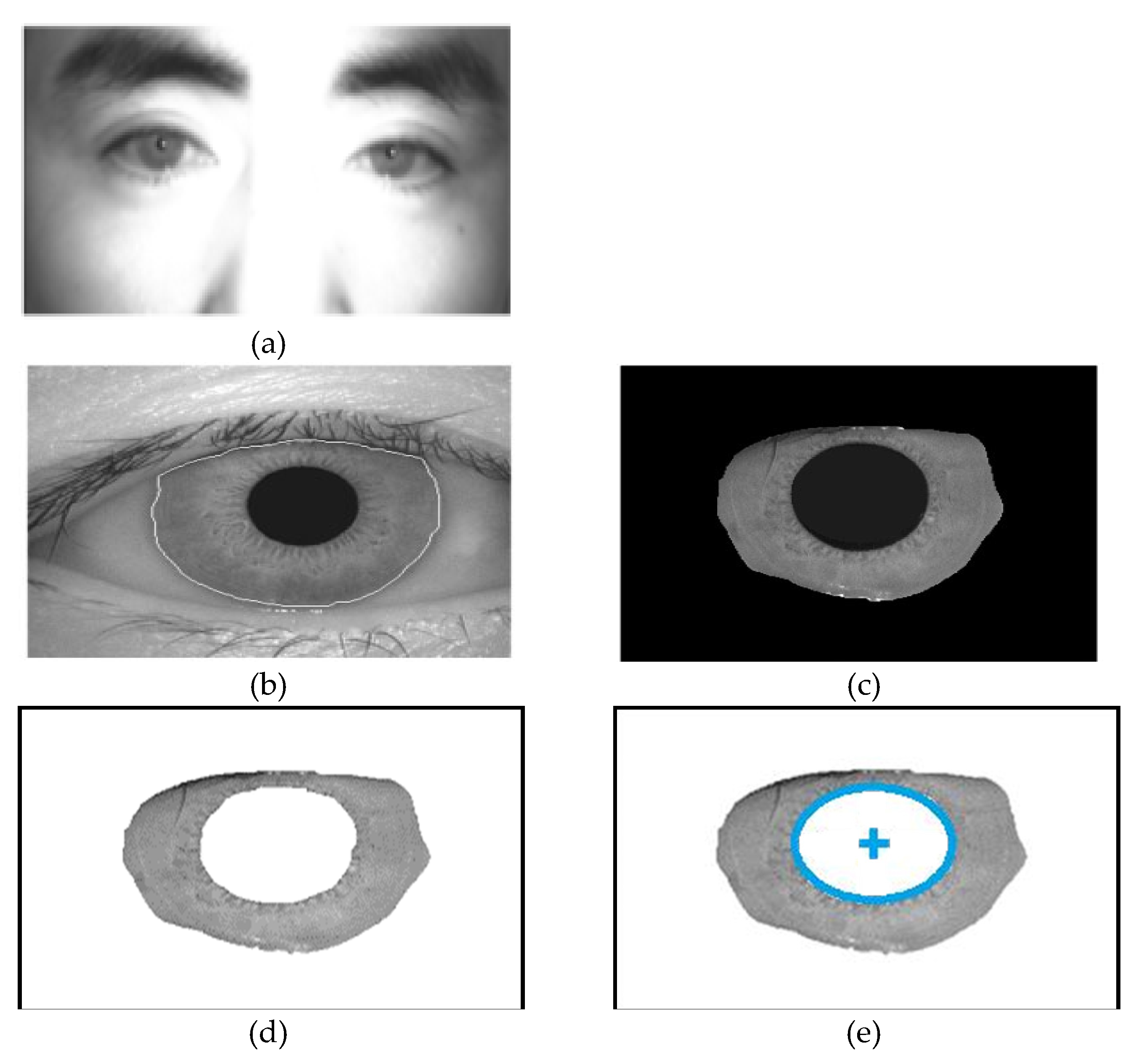 Preprints 118946 g003