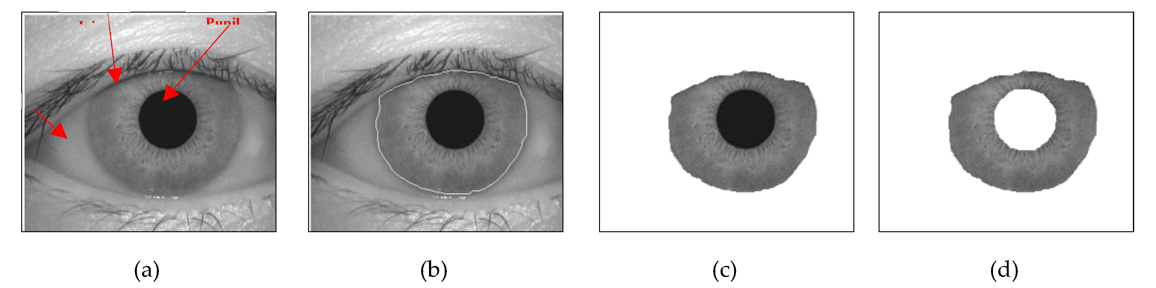 Preprints 118946 g005