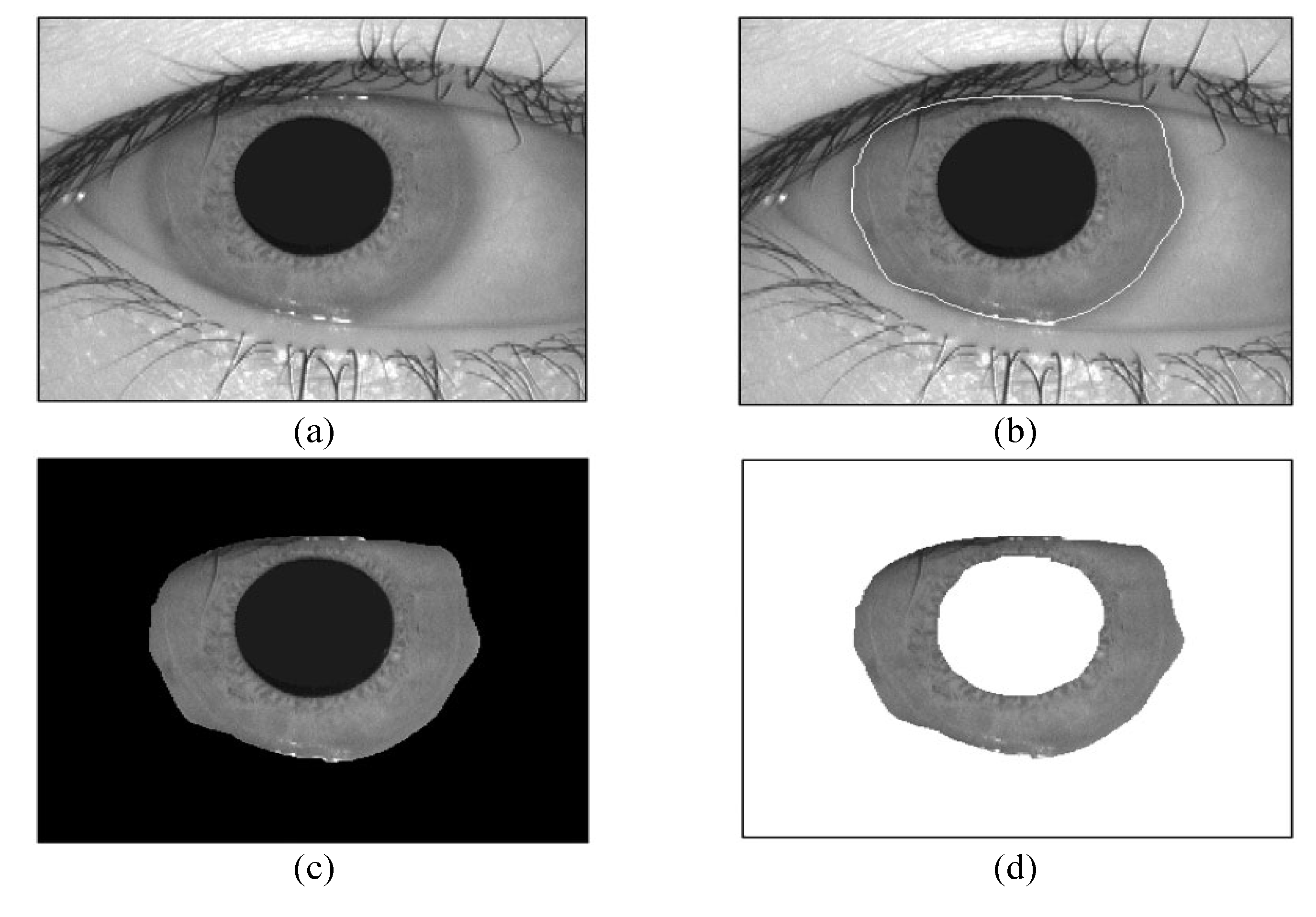 Preprints 118946 g007