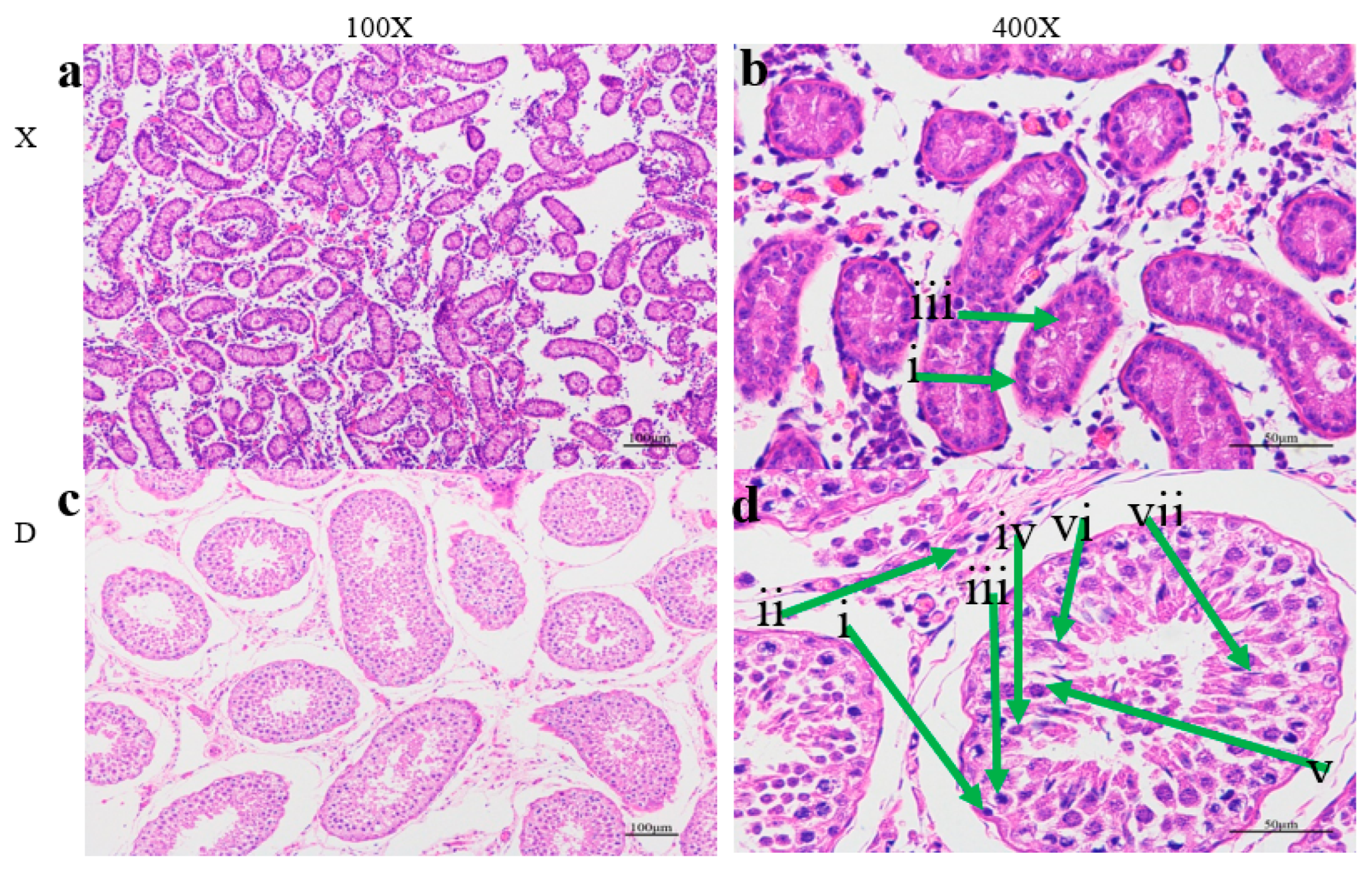 Preprints 90063 g001